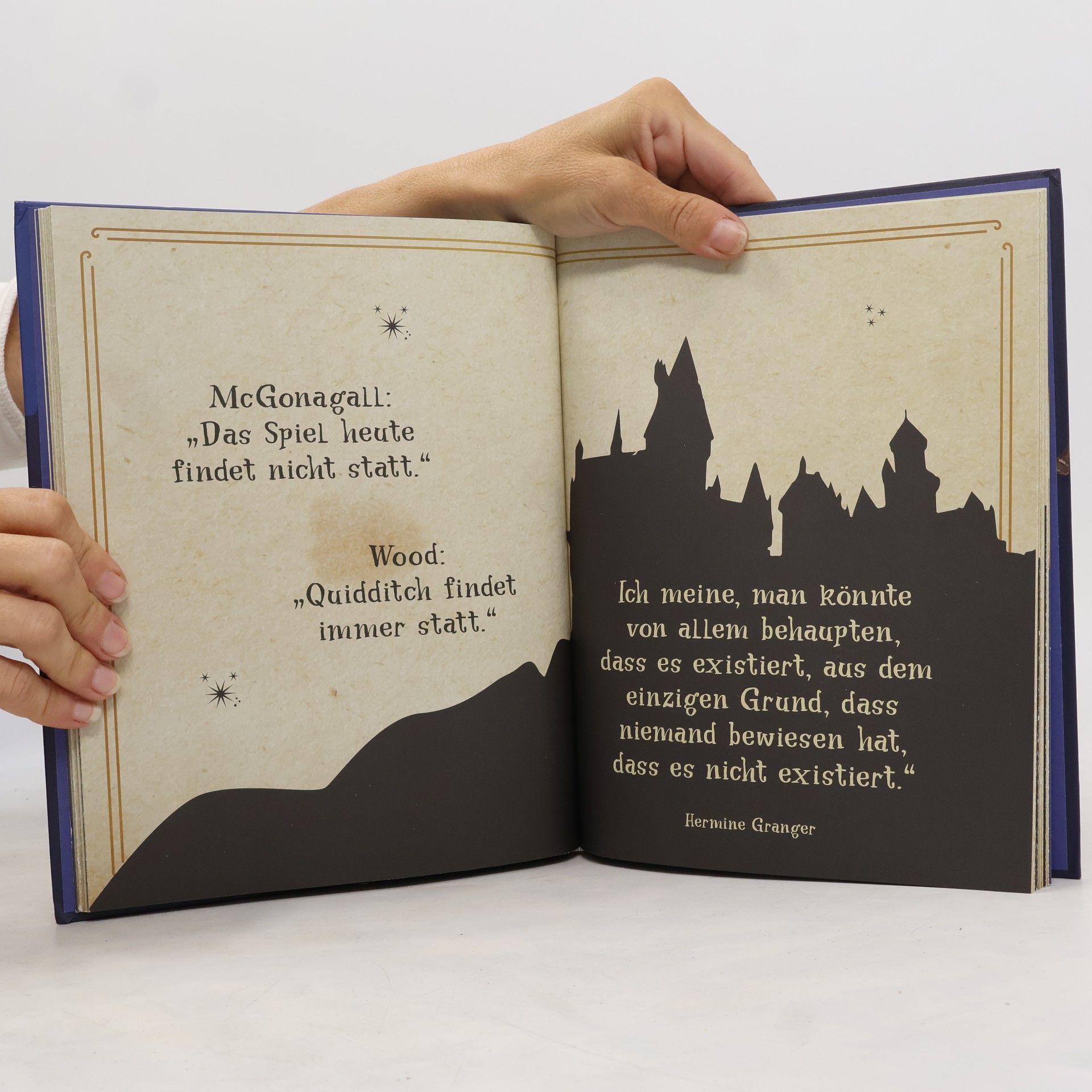 Susanne Wicke Zauberhaft basteln. Der inoffizielle Harry-Potter-Adventskalender. Adventskalenderbuch.