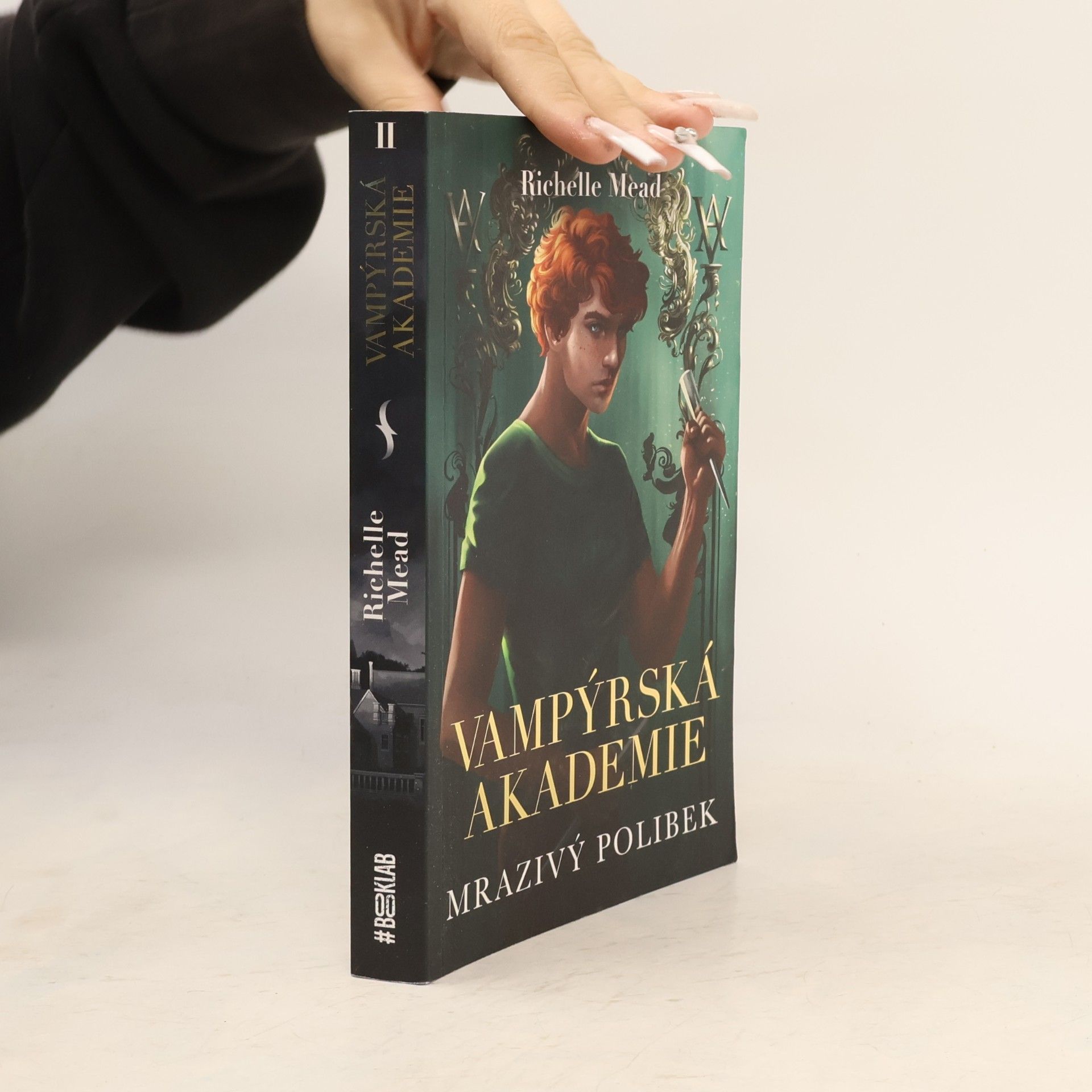 Richelle Mead Vampýrská akademie 2: Mrazivý polibek