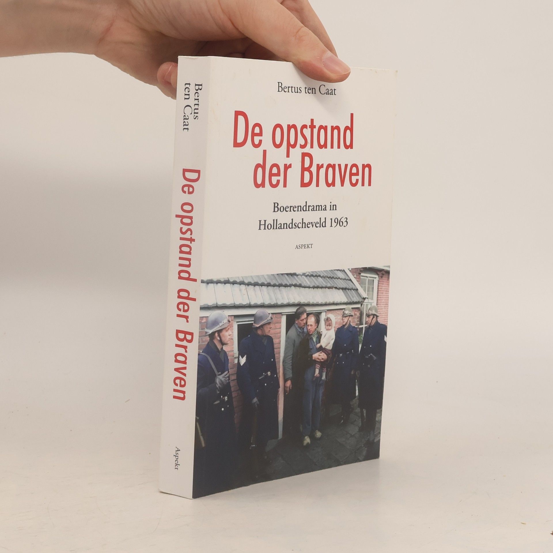 Bertus ten Caat De opstand der Braven