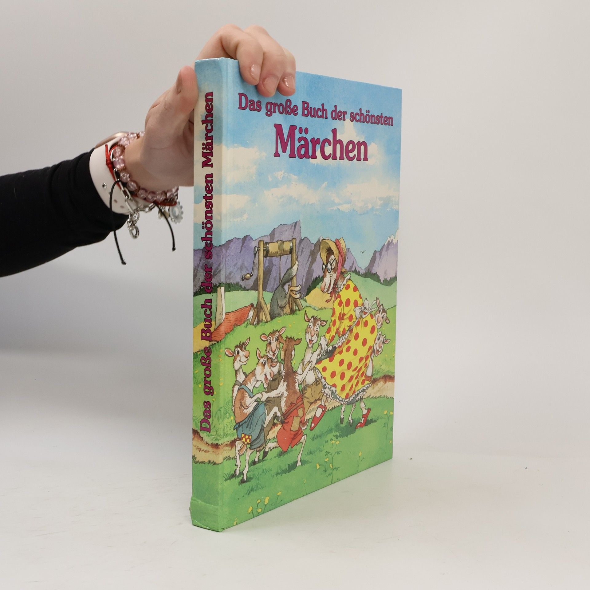 Netti van Dok Das große Buch der schönsten Märchen