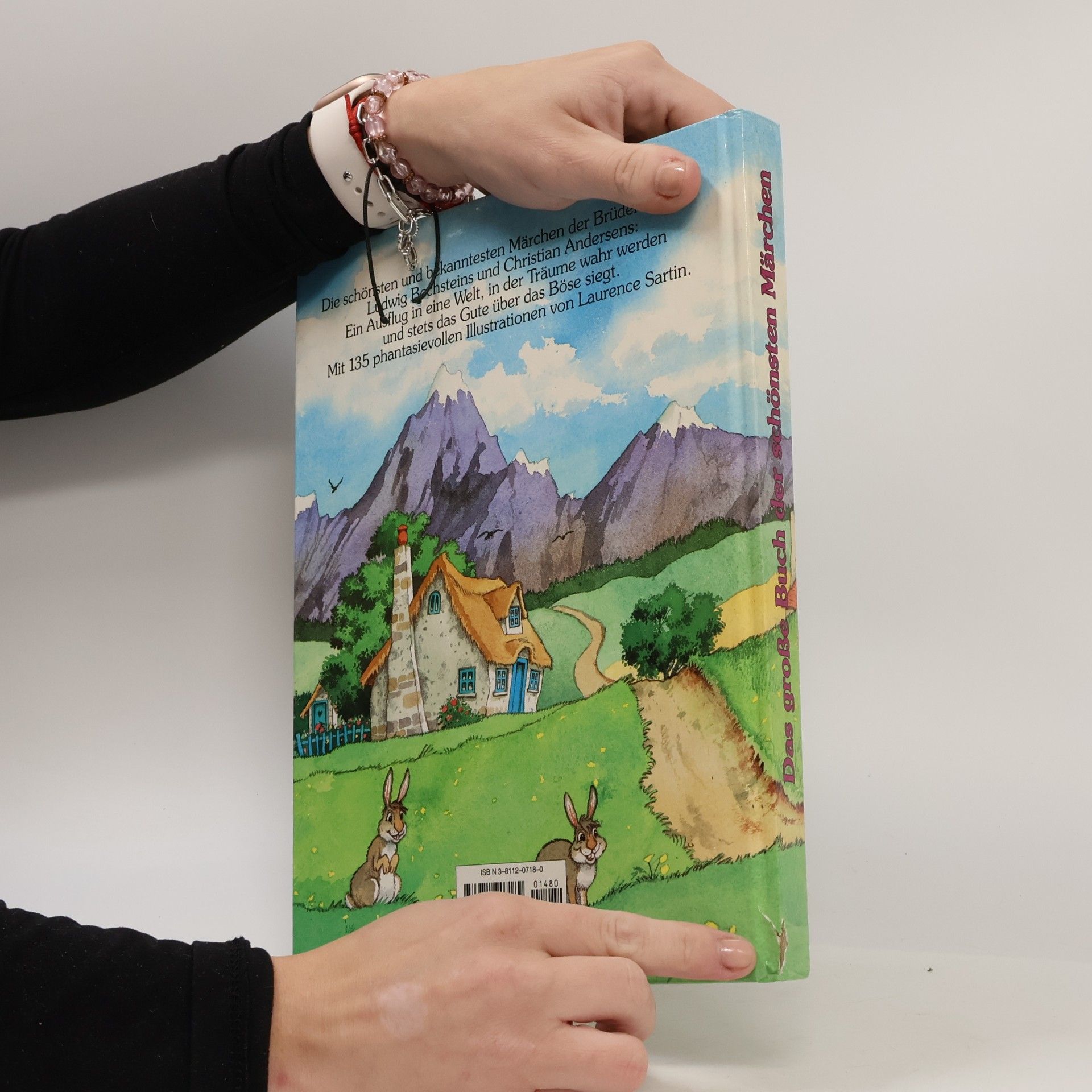 Netti van Dok Das große Buch der schönsten Märchen