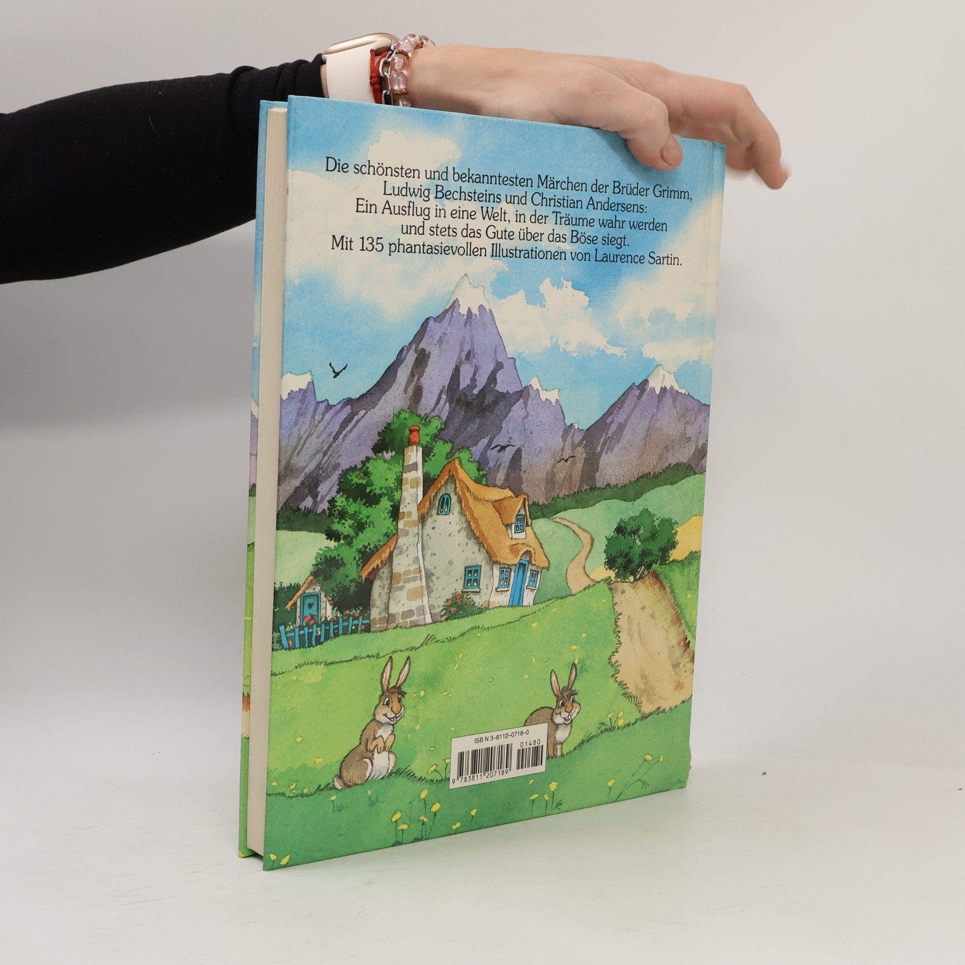 Netti van Dok Das große Buch der schönsten Märchen