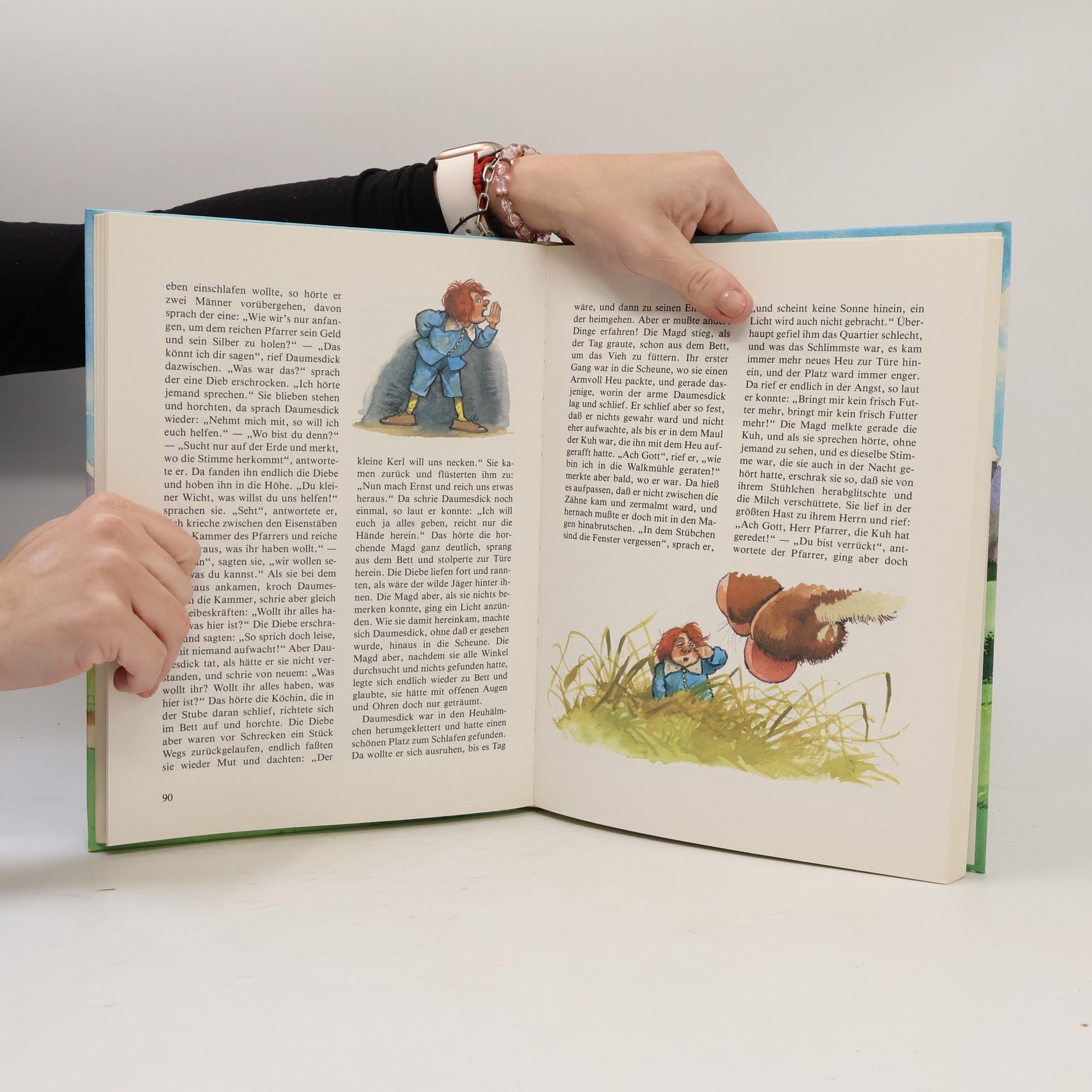 Netti van Dok Das große Buch der schönsten Märchen