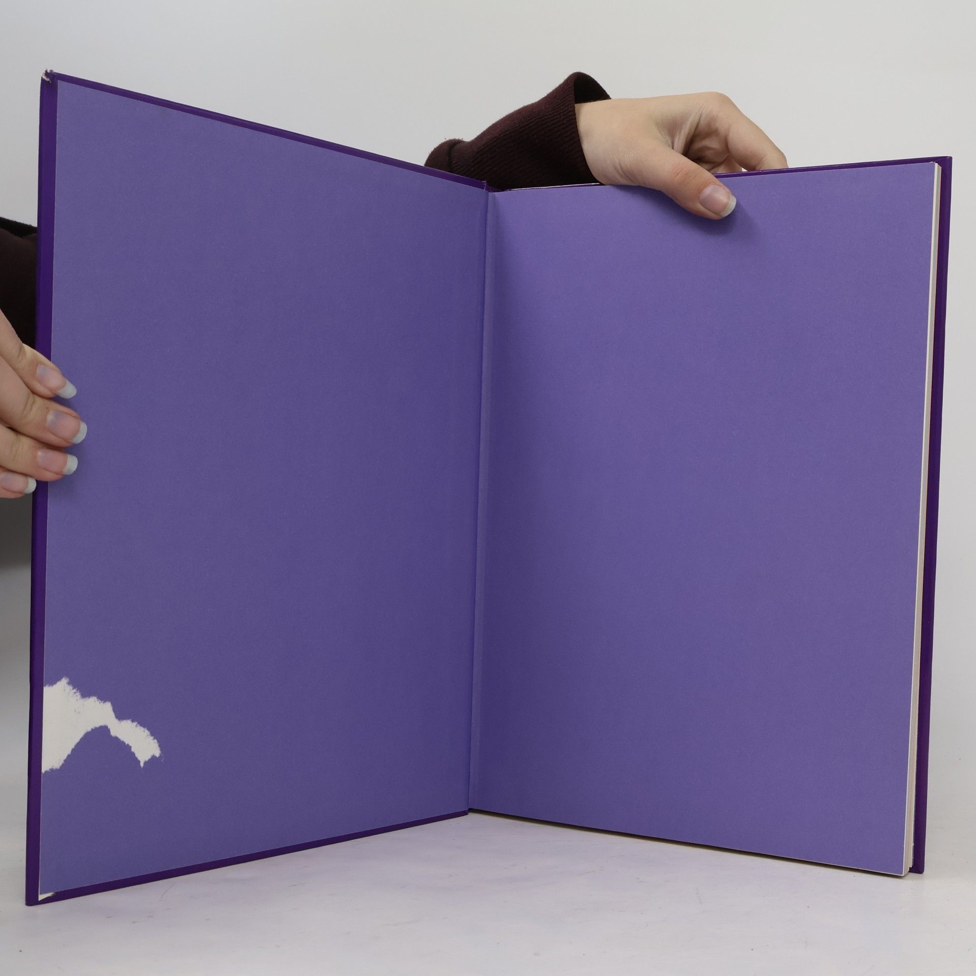 Autorenkollektiv Hamlyn All Colour Oriental Cookbook