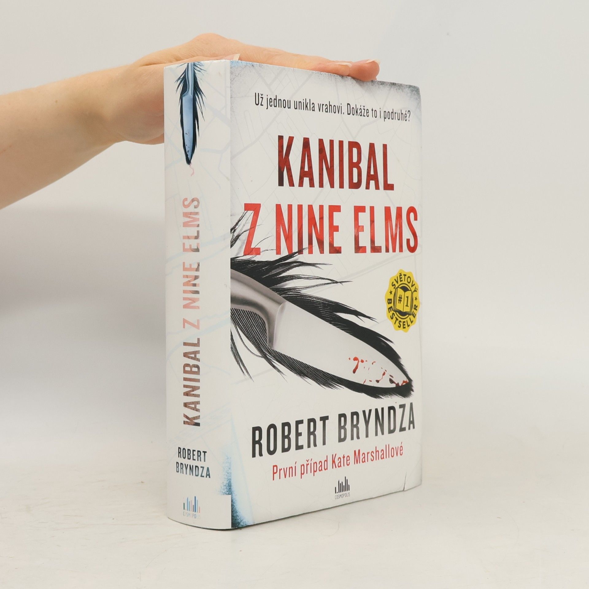 Robert Bryndza Kanibal z Nine Elms