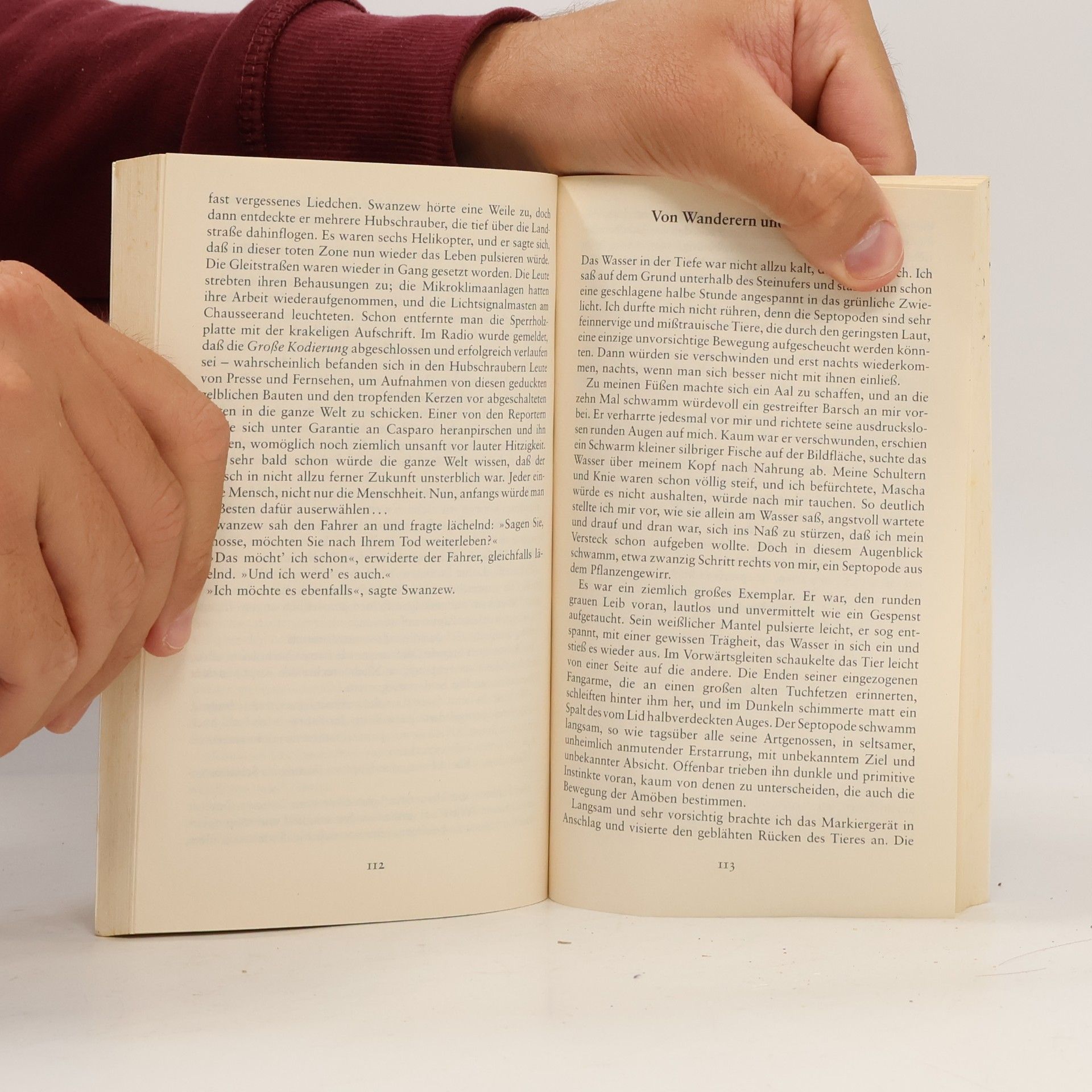 Arkadij Natanovič Strugackij Phantastische Bibliothek - 305: Mittag, 22. Jahrhundert