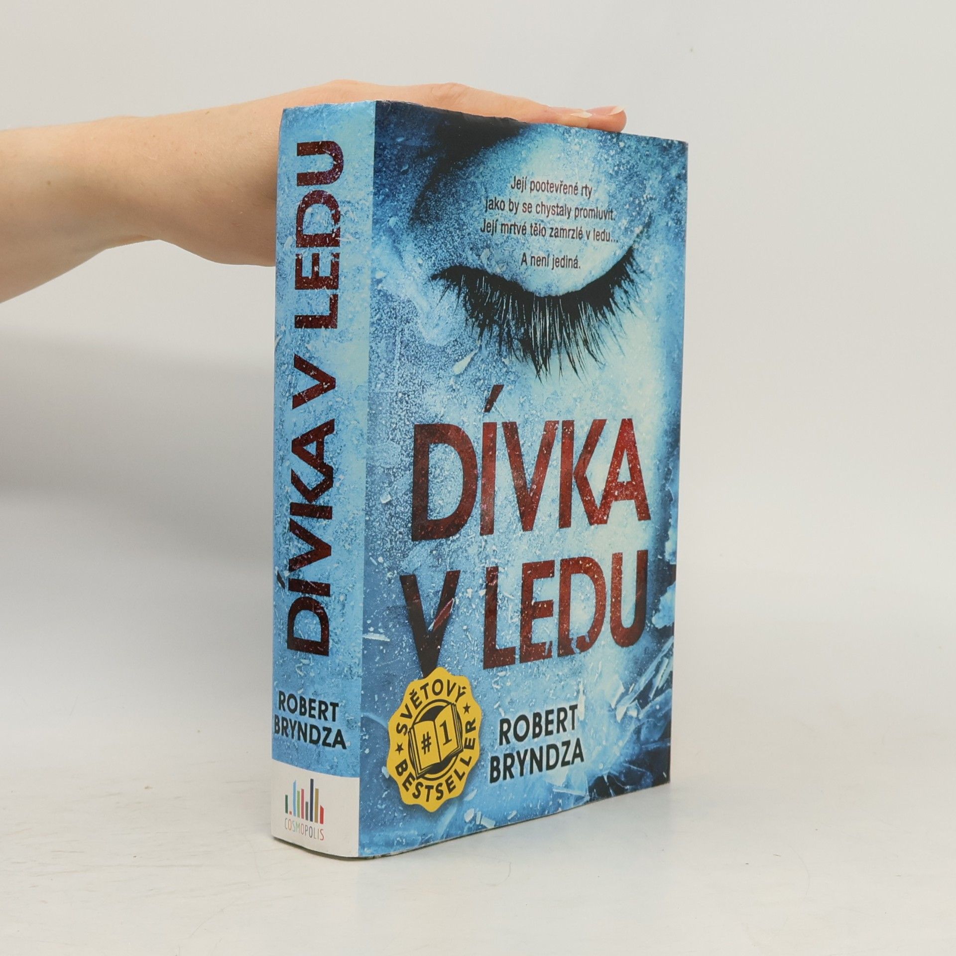 Robert Bryndza Dívka v ledu