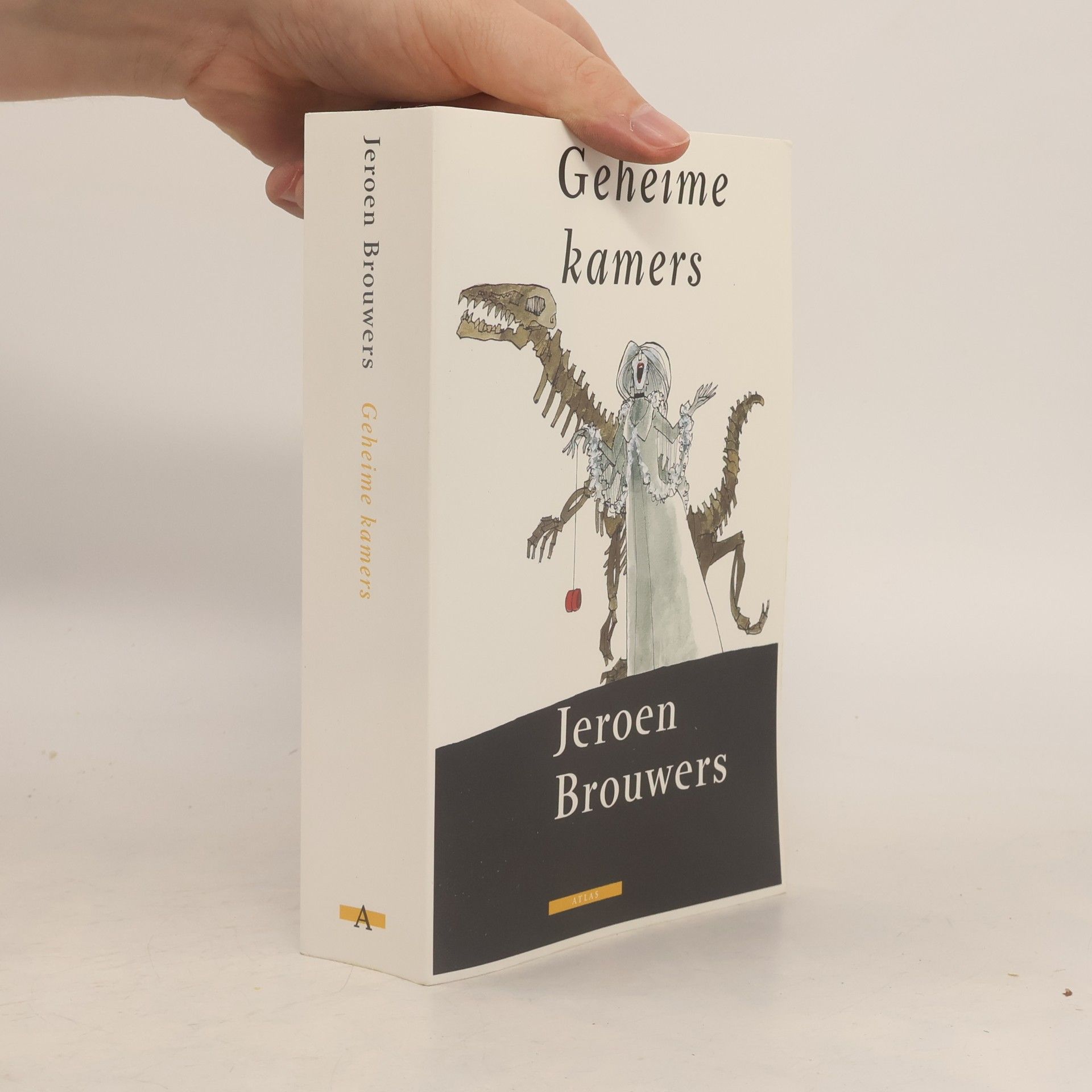 Jeroen Brouwers Geheime kamers