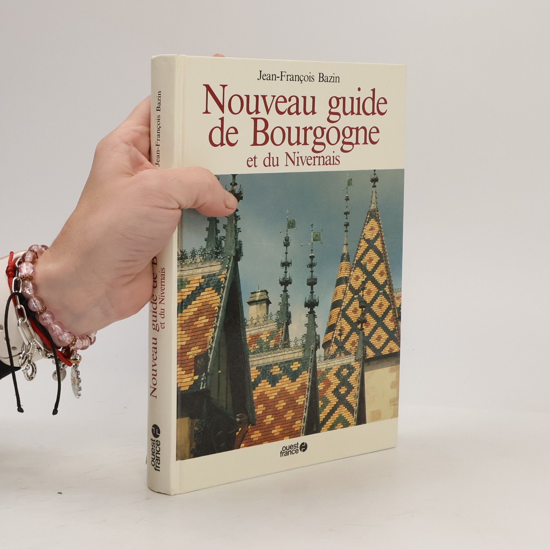 Nouveau guide de Bourgogne et du Nivernais
