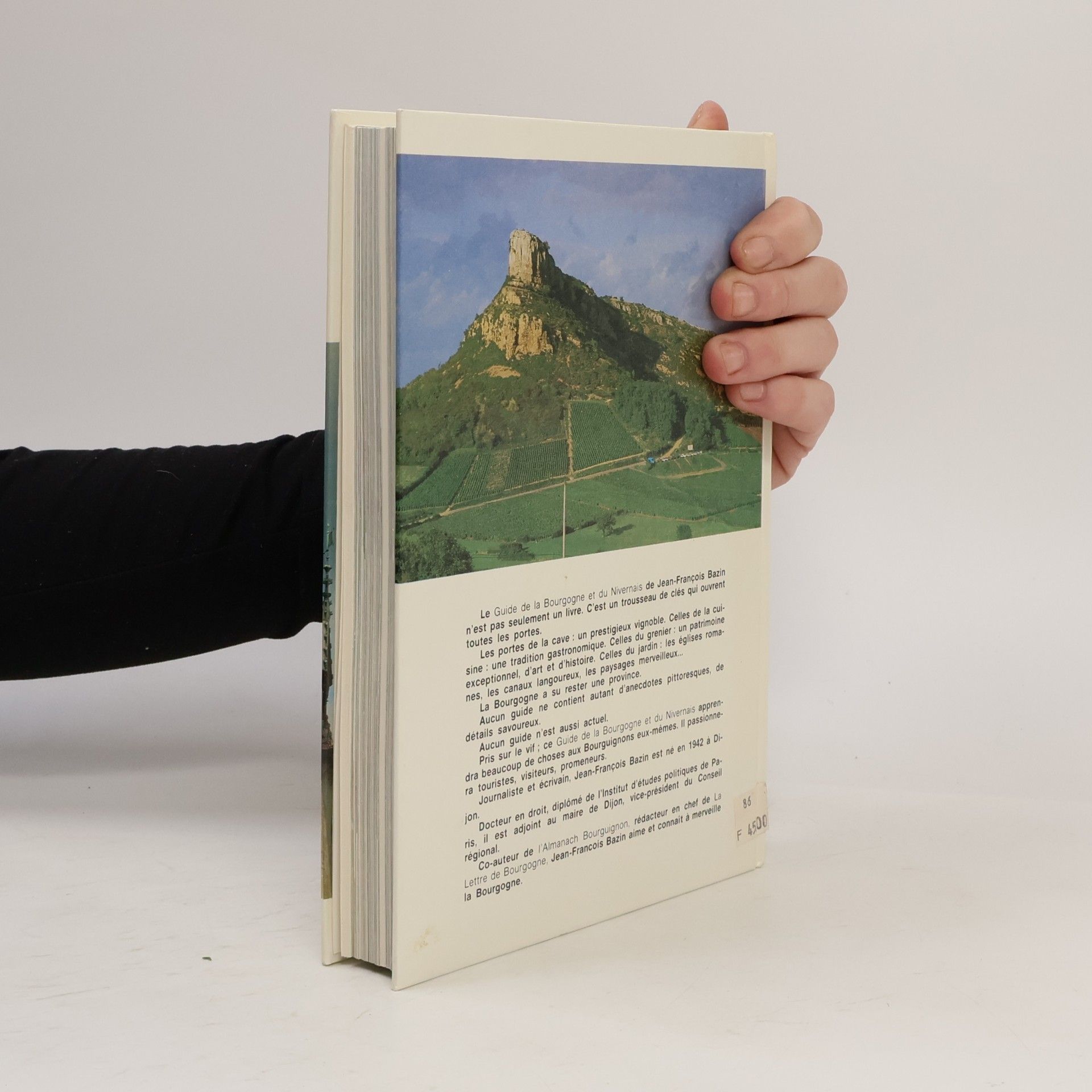 Jean-François Bazin Nouveau guide de Bourgogne et du Nivernais