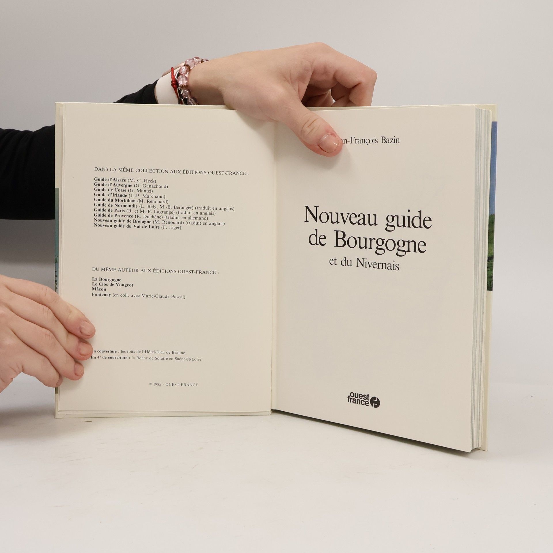 Jean-François Bazin Nouveau guide de Bourgogne et du Nivernais