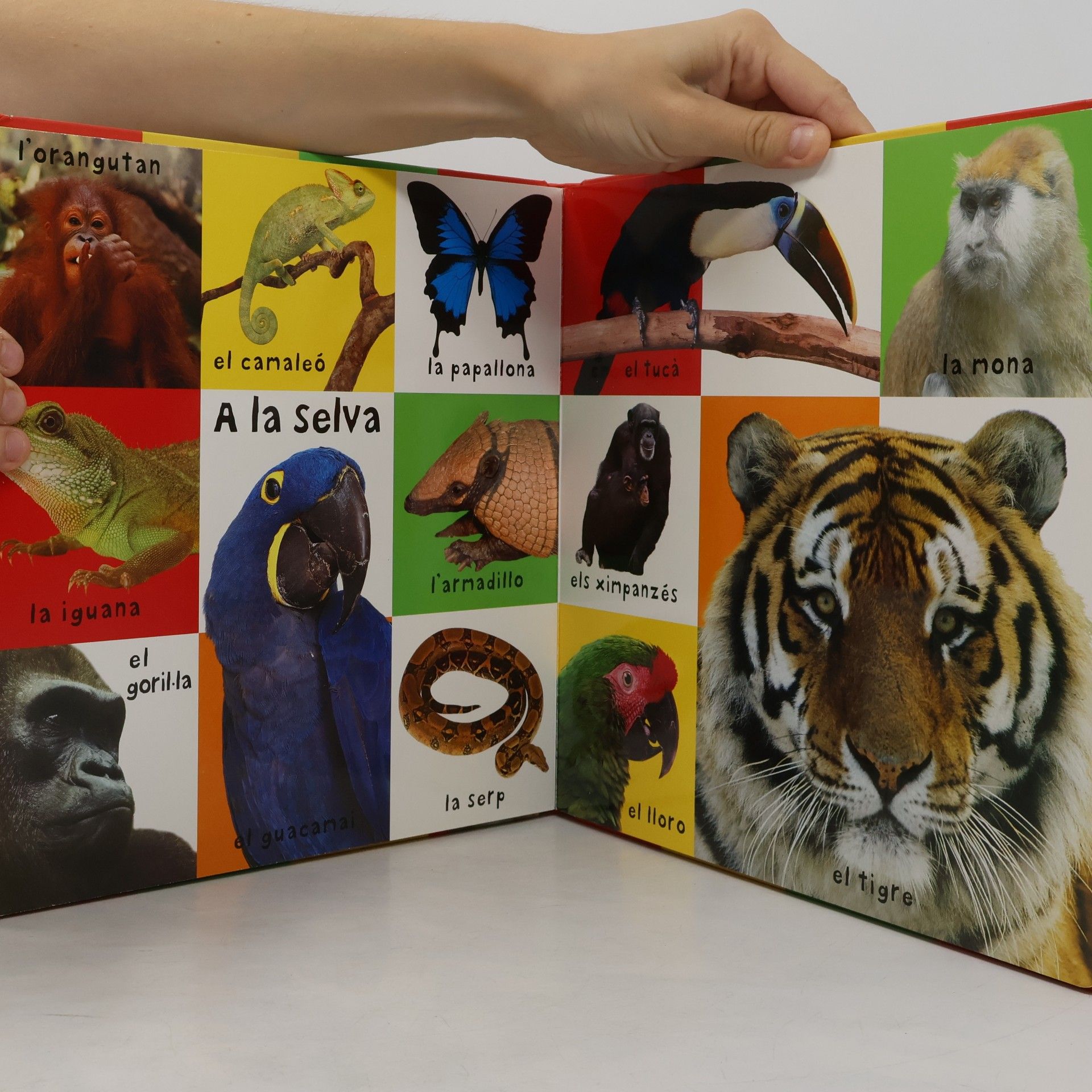 Les Meves Primeres Paraules - 150311: Els meus primers 100 animals