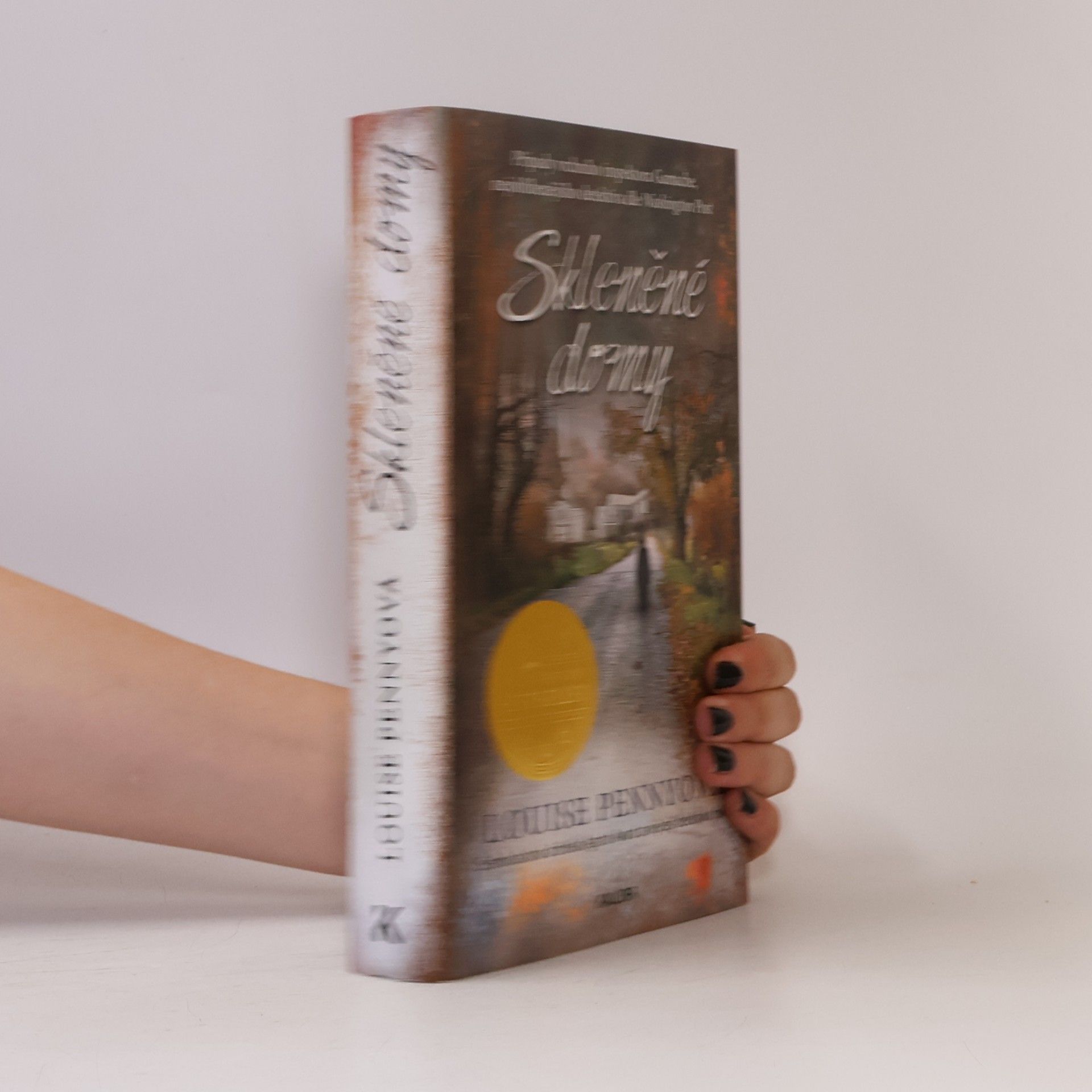 Louise Penny Skleněné domy