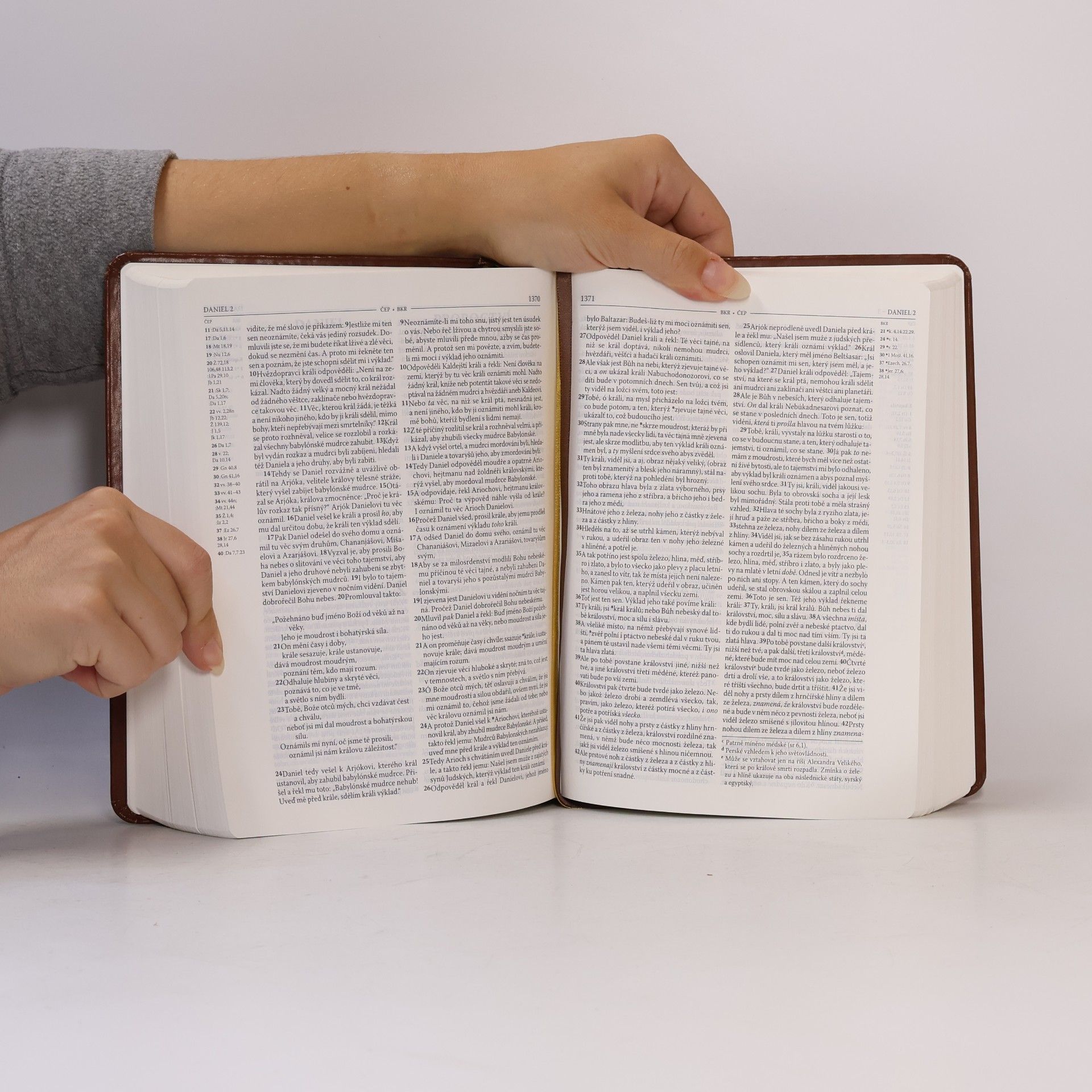 Miloš Bič Bible : český ekumenický překlad