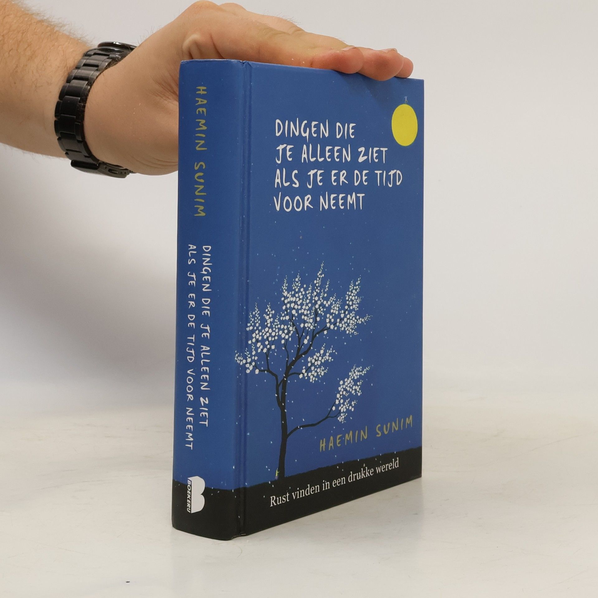 Haenim Sunim Dingen die je alleen ziet als je er de tijd voor neemt
