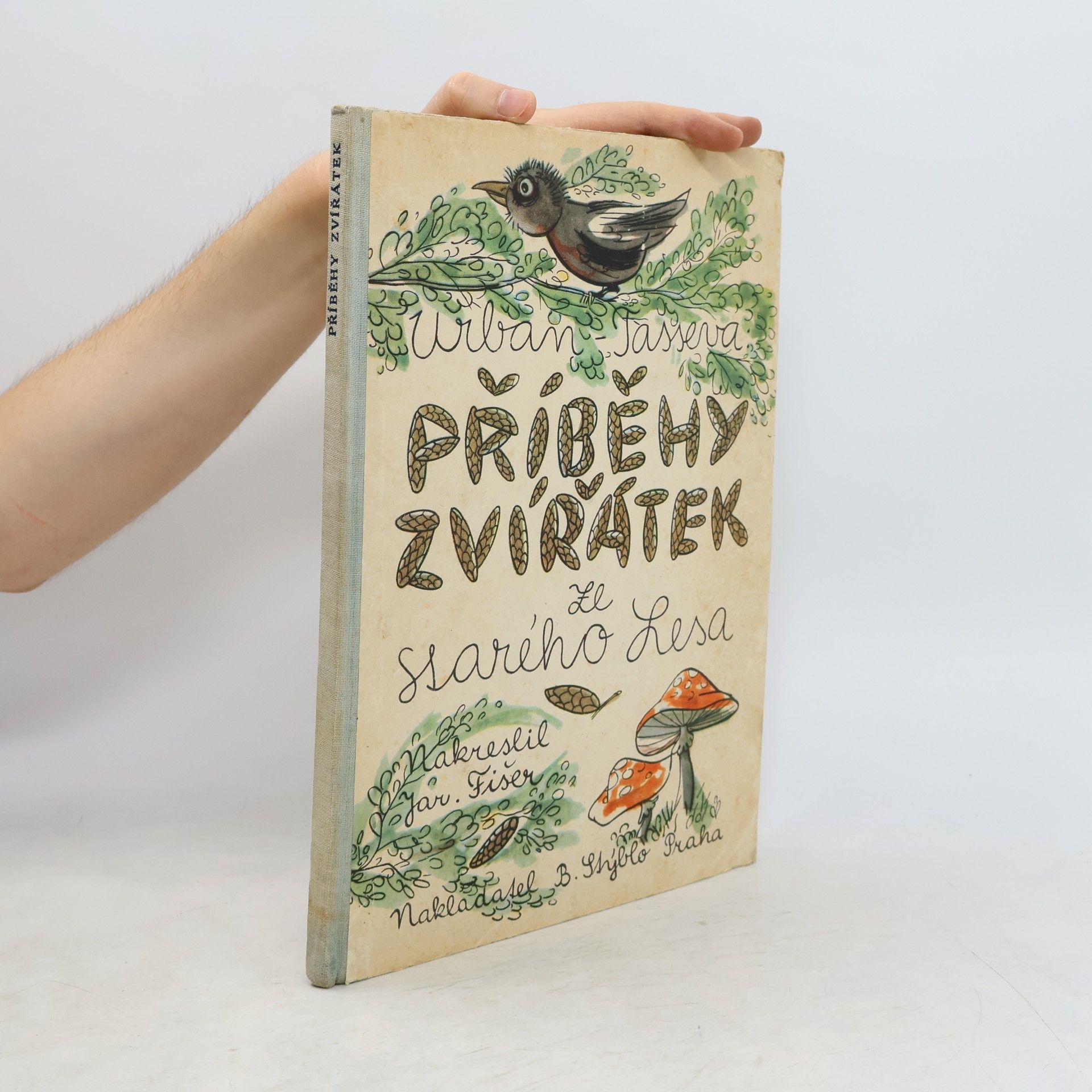 Alžběta Tasseva Příběhy zvířátek ze Starého lesa