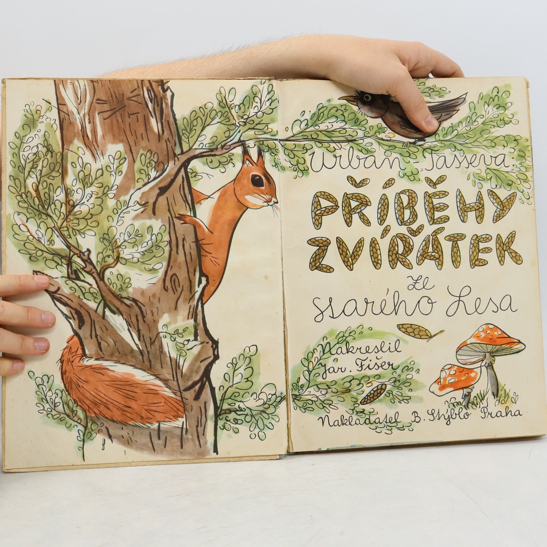 Alžběta Tasseva Příběhy zvířátek ze Starého lesa