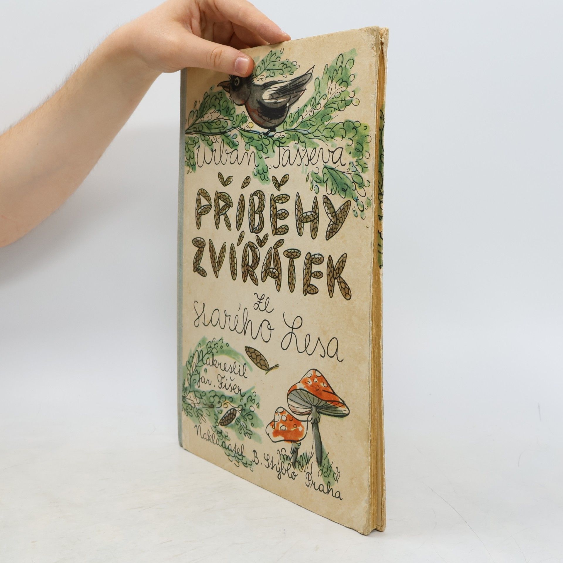 Alžběta Tasseva Příběhy zvířátek ze Starého lesa