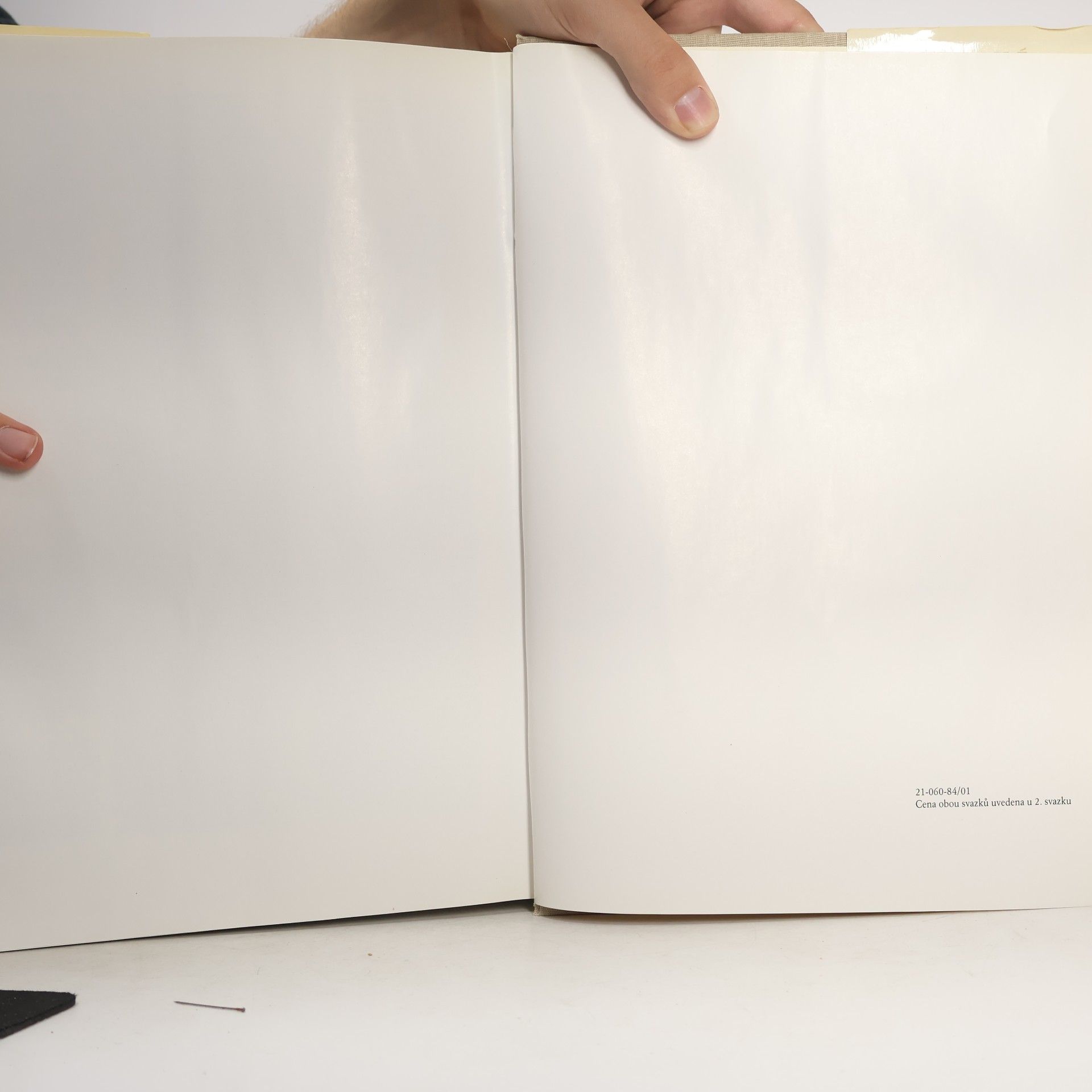 Various authors Dějiny českého výtvarného umění I/1