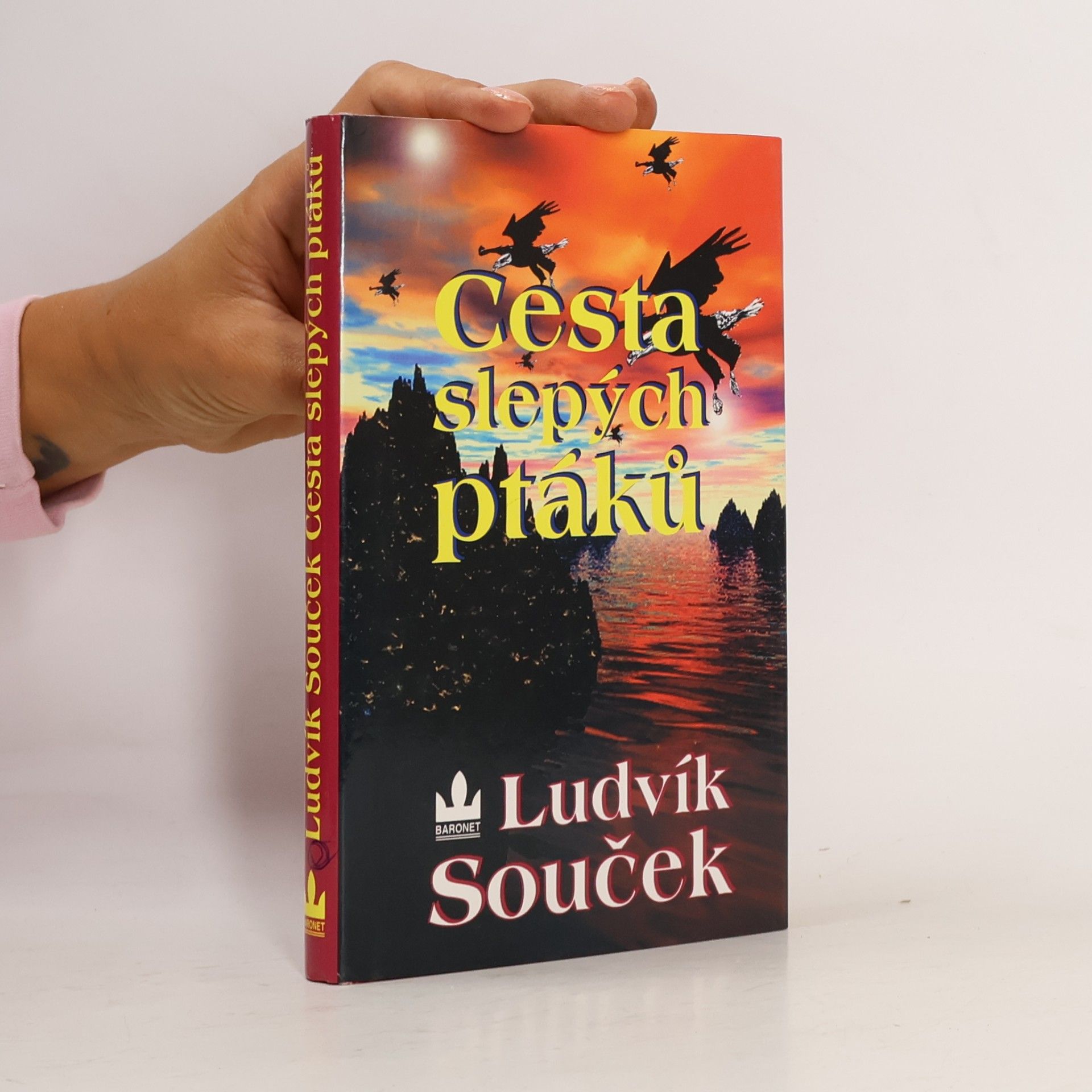 Ludvík Souček Cesta slepých ptáků