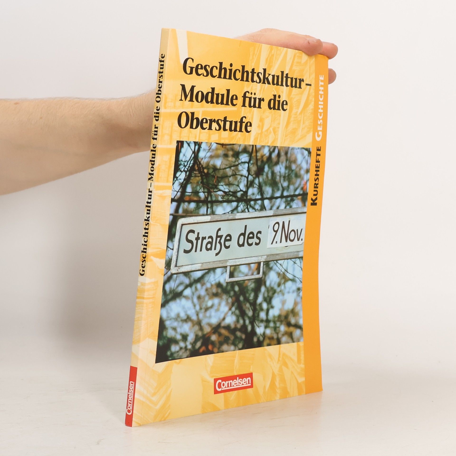 Geschichtskultur - Module für die Oberstufe