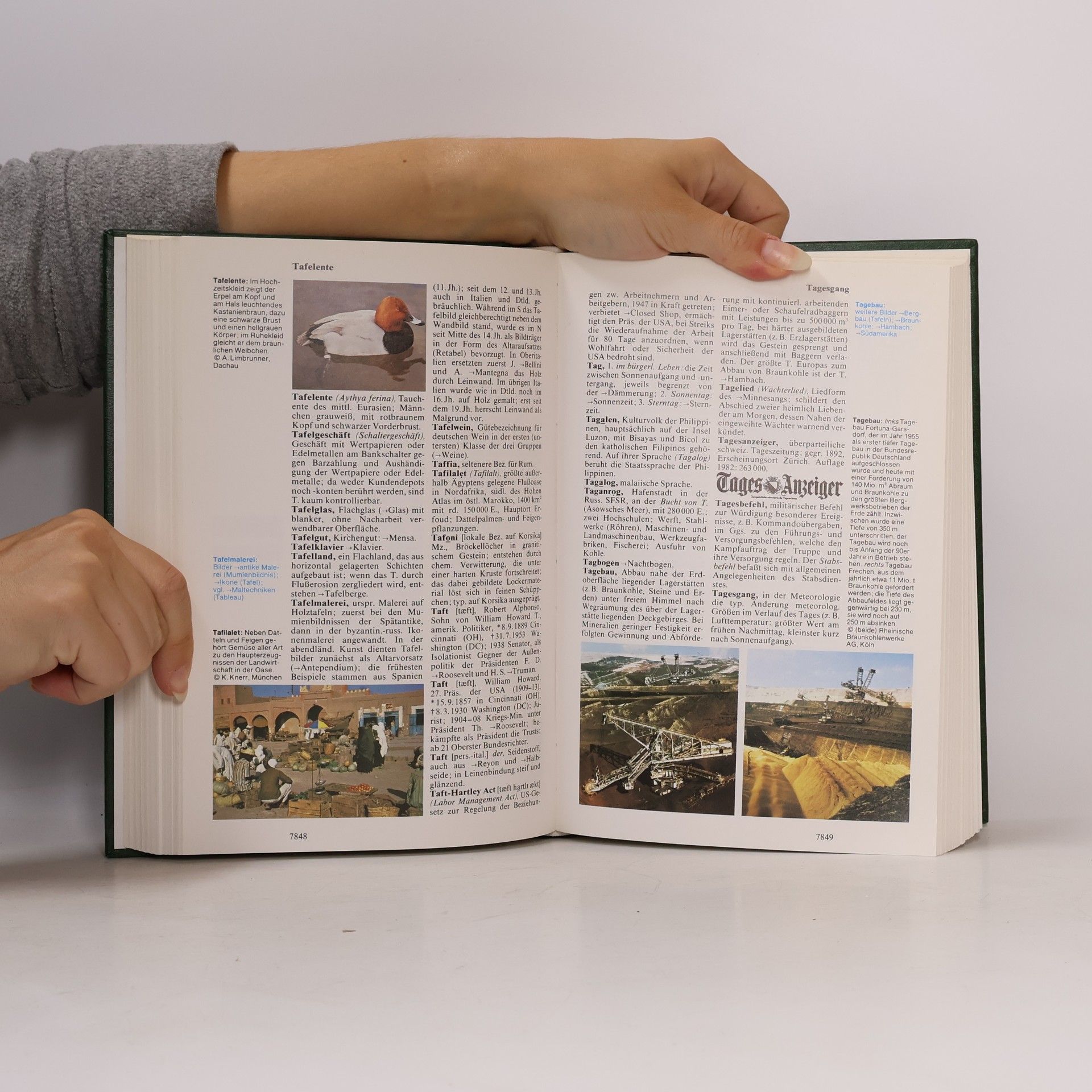 Collectif d'auteurs Das Neue Große Illustrierte Lexikon 18