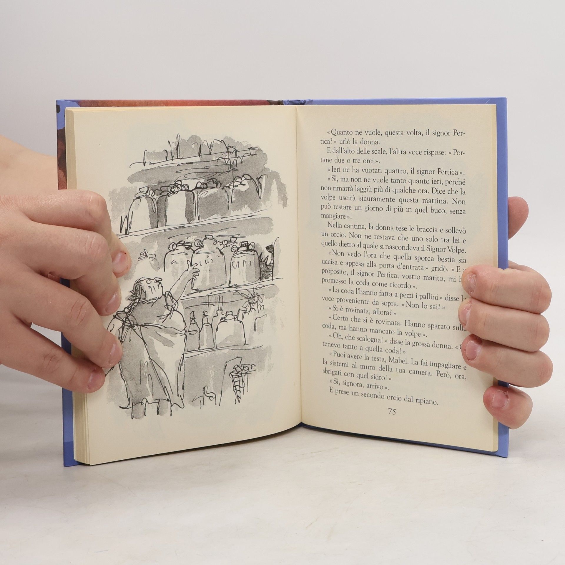 Roald Dahl Furbo, il signor Volpe