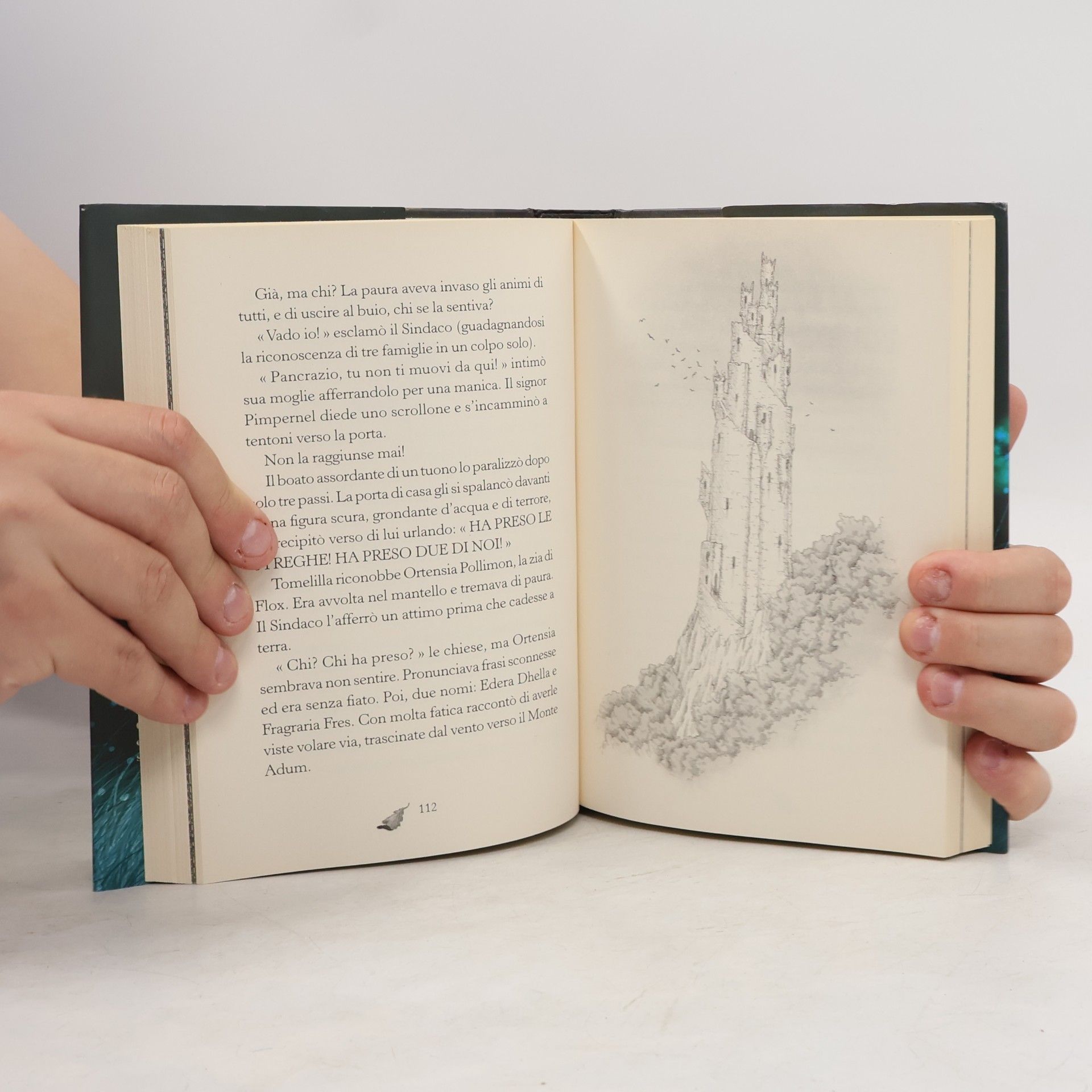 Elisabetta Gnone Fairy Oak - 1: Il Segreto delle Gemelle