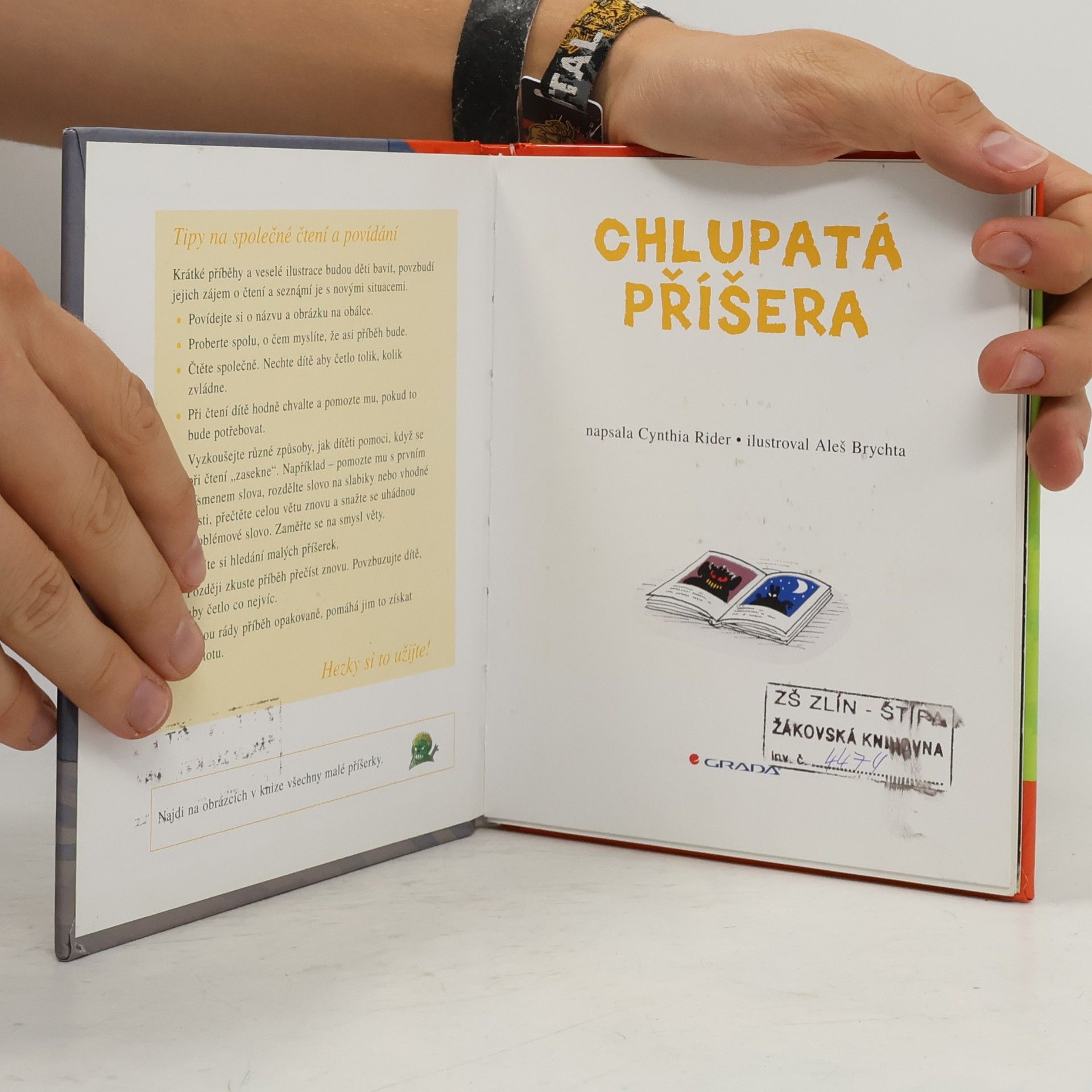 Cynthia Rider Chlupatá příšera