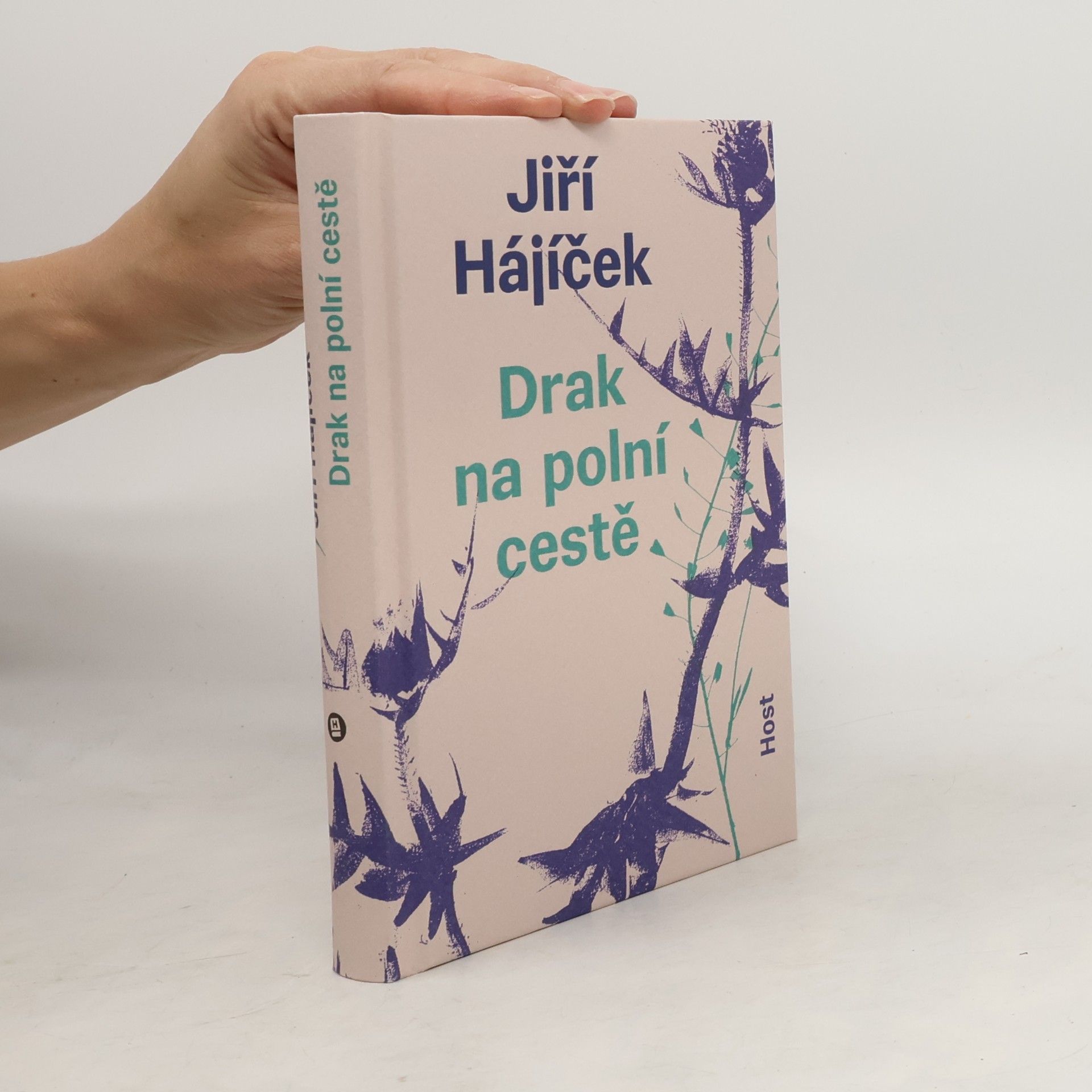 Jiří Hájíček Drak na polní cestě