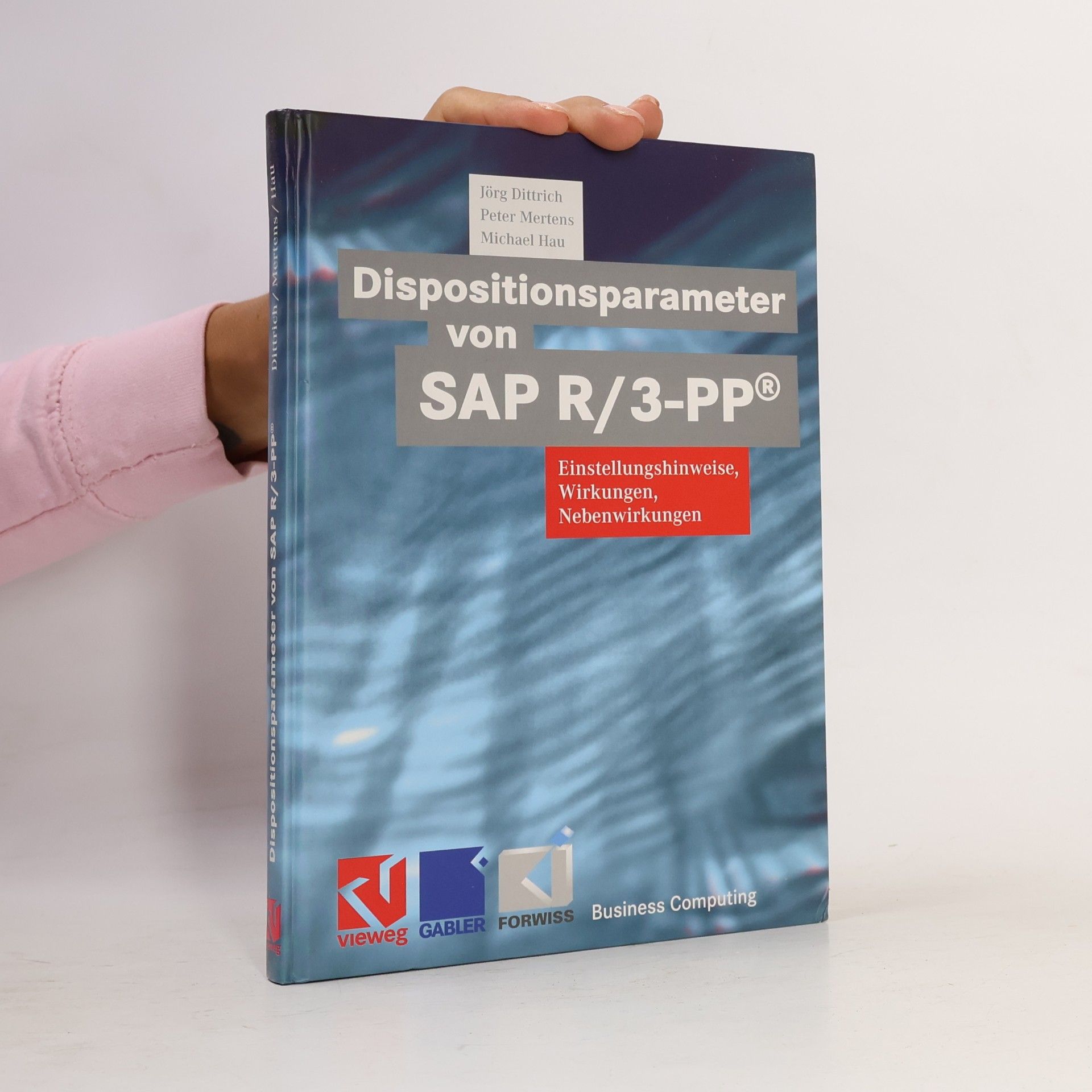 Michael Hau XBusiness Computing: Dispositionsparameter von SAP R 3 PP