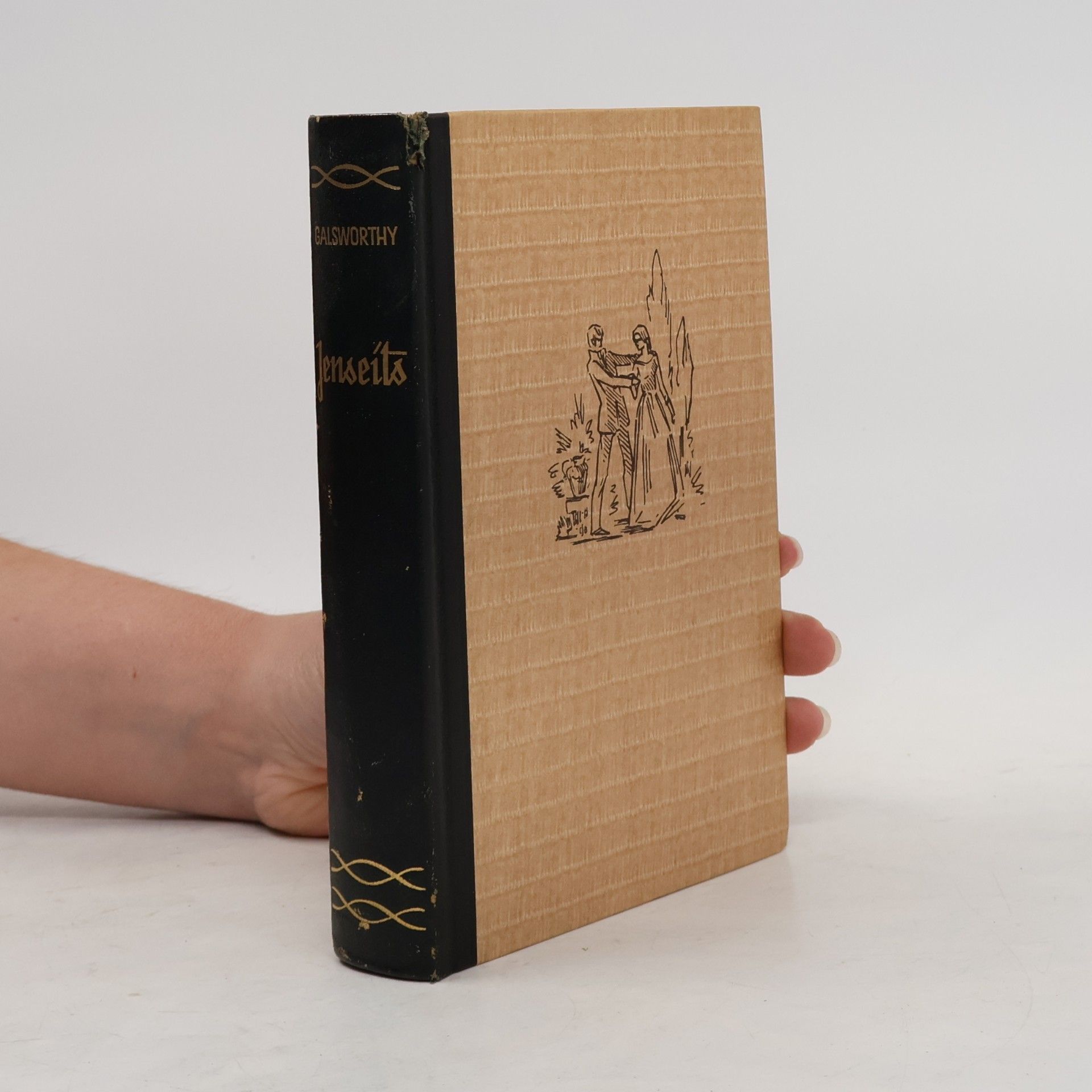 John Galsworthy Jenseits