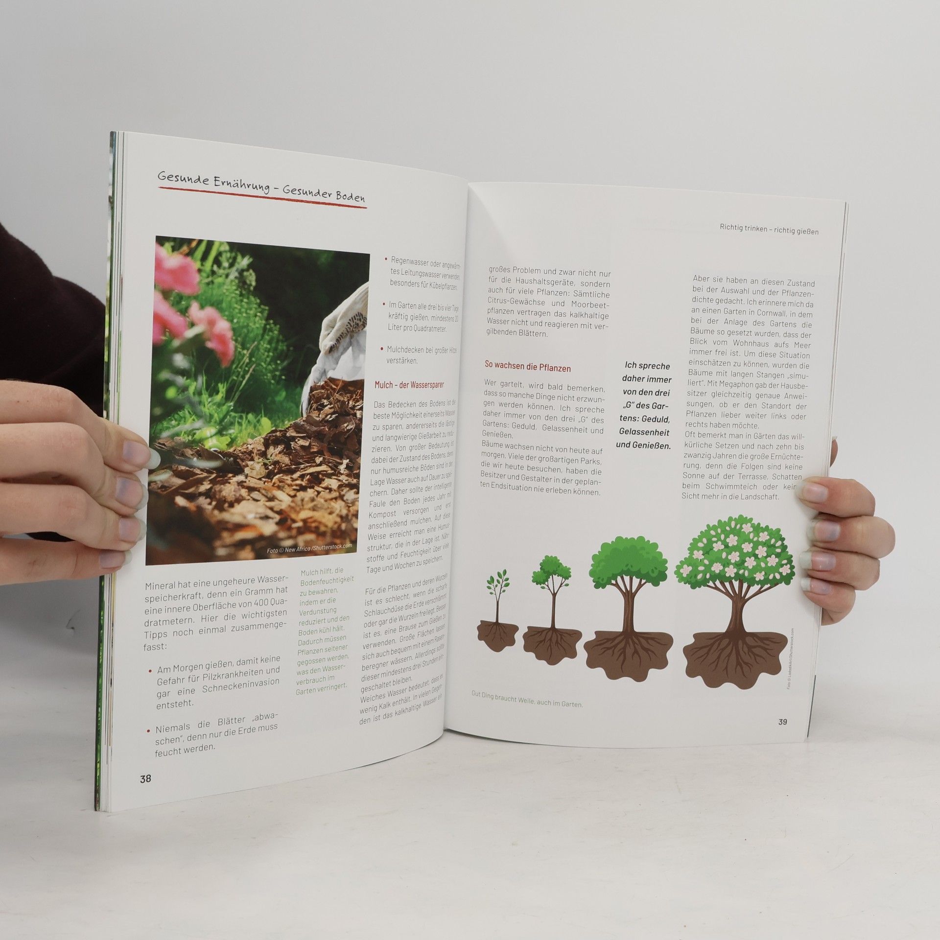 Toni Klein Garten fit – Körper fit