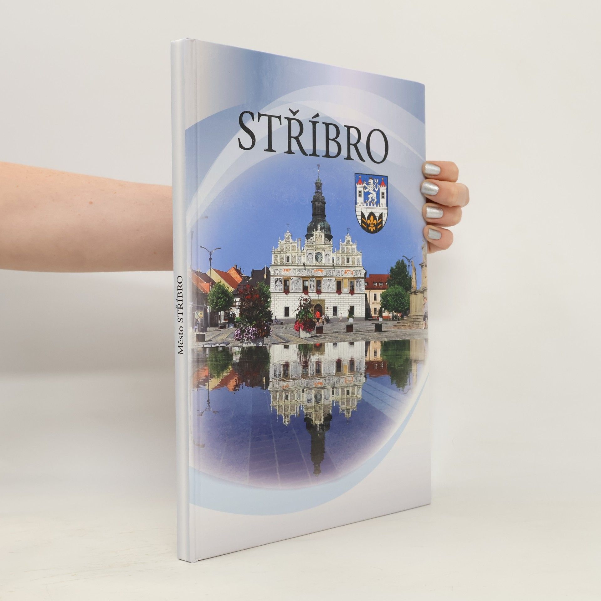 Kolektiv autorů Stříbro