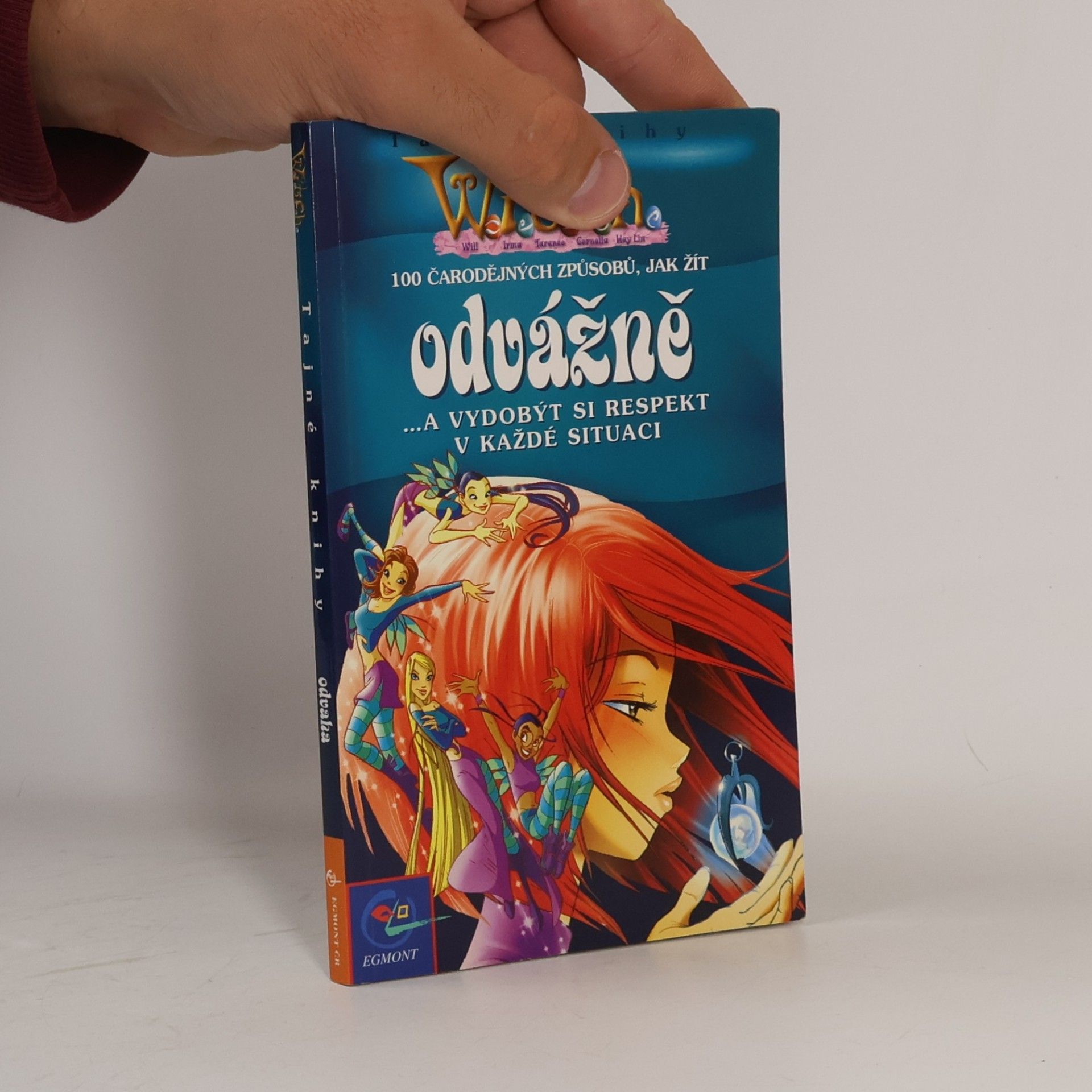 Auteurscollectief 100 čarodějných způsobů, jak žít odvážně --a vydobýt si respekt v každé situaci