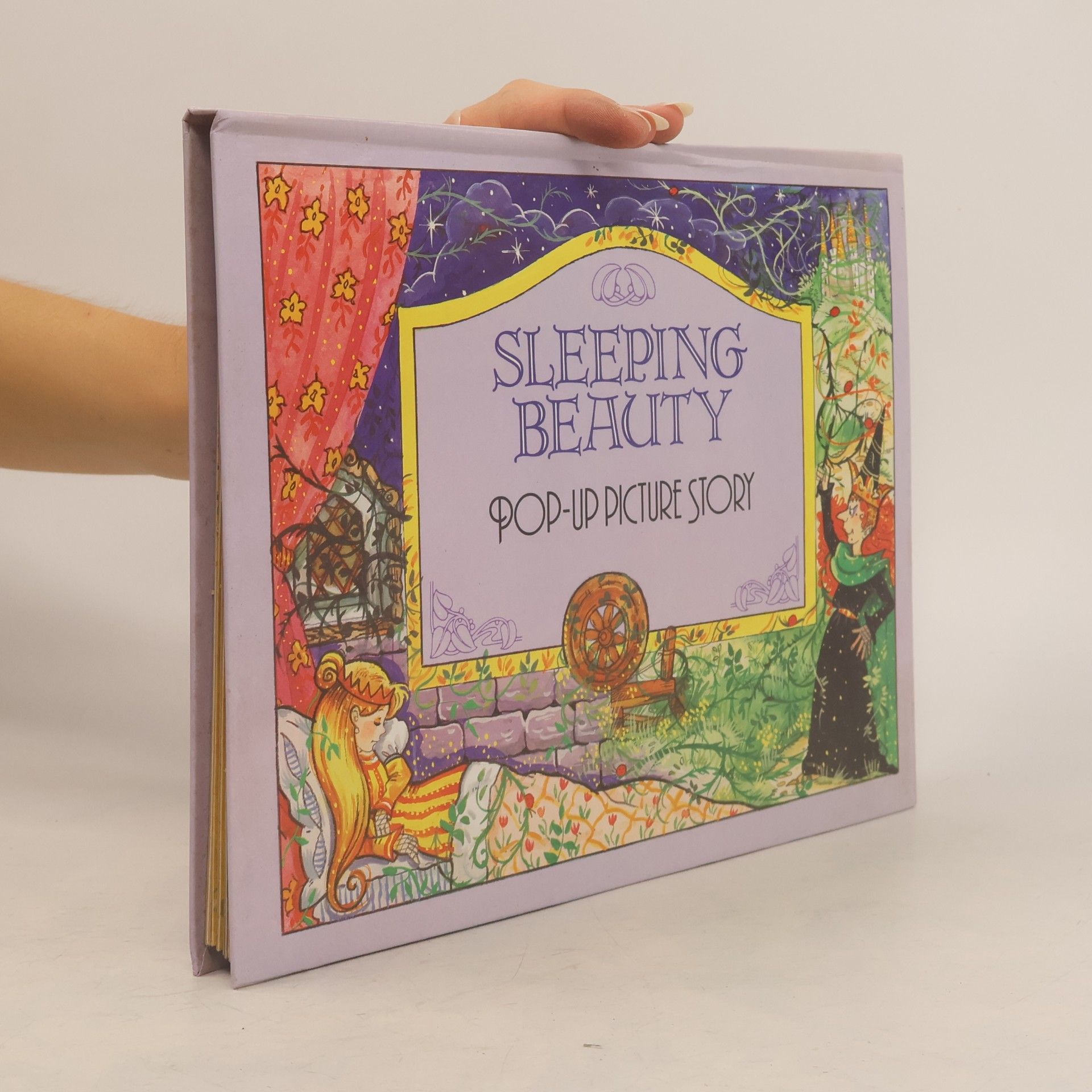 Kolektiv autorů Sleeping Beauty : pop-up picture story.