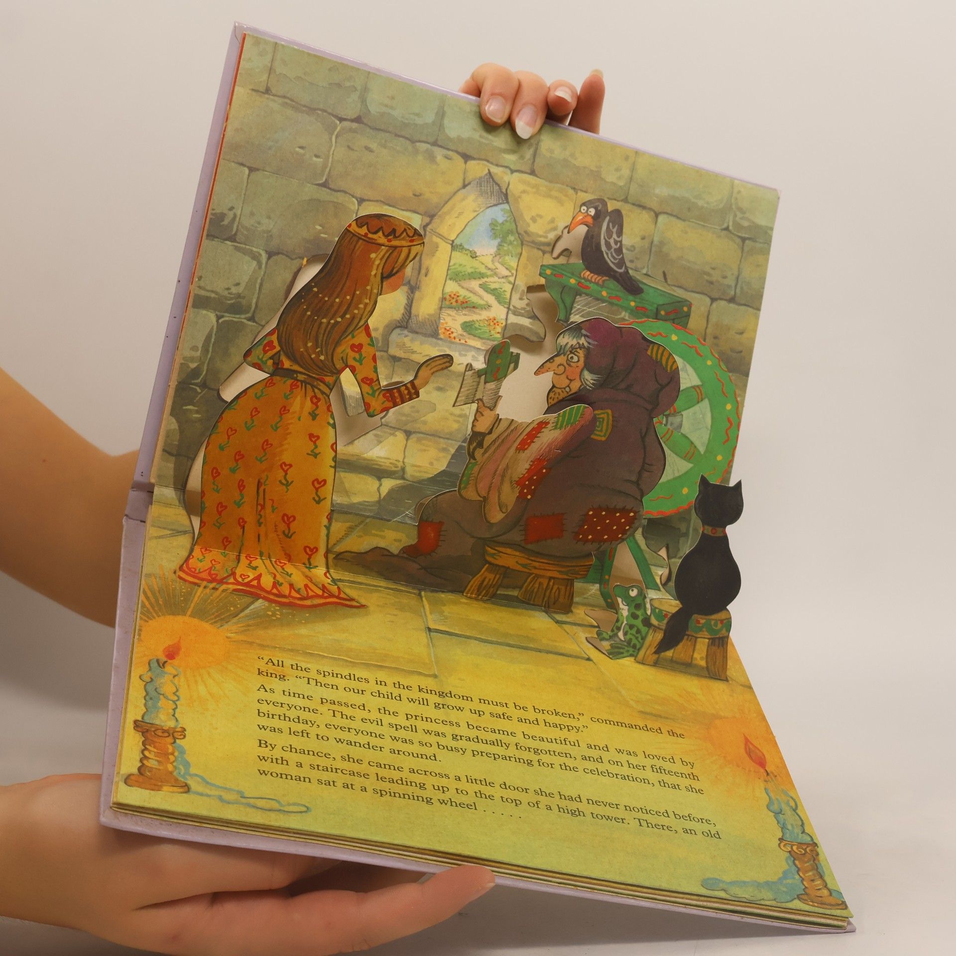 kolektiv Sleeping Beauty : pop-up picture story.