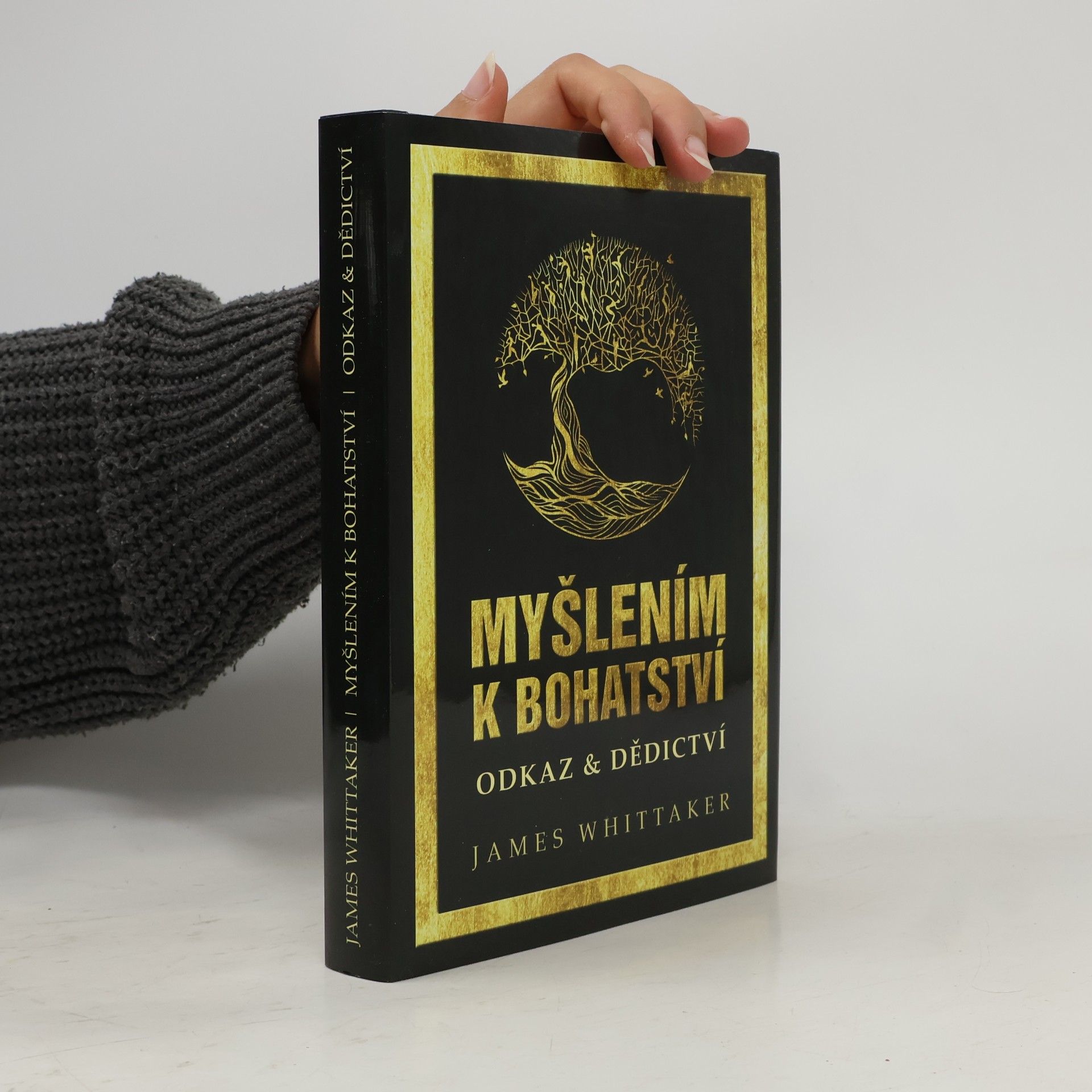 Myšlením k bohatství : Odkaz a dědictví (Jak dosahují úspěchu velcí myslitelé, lídři světa obchodu a kulturní ikony)