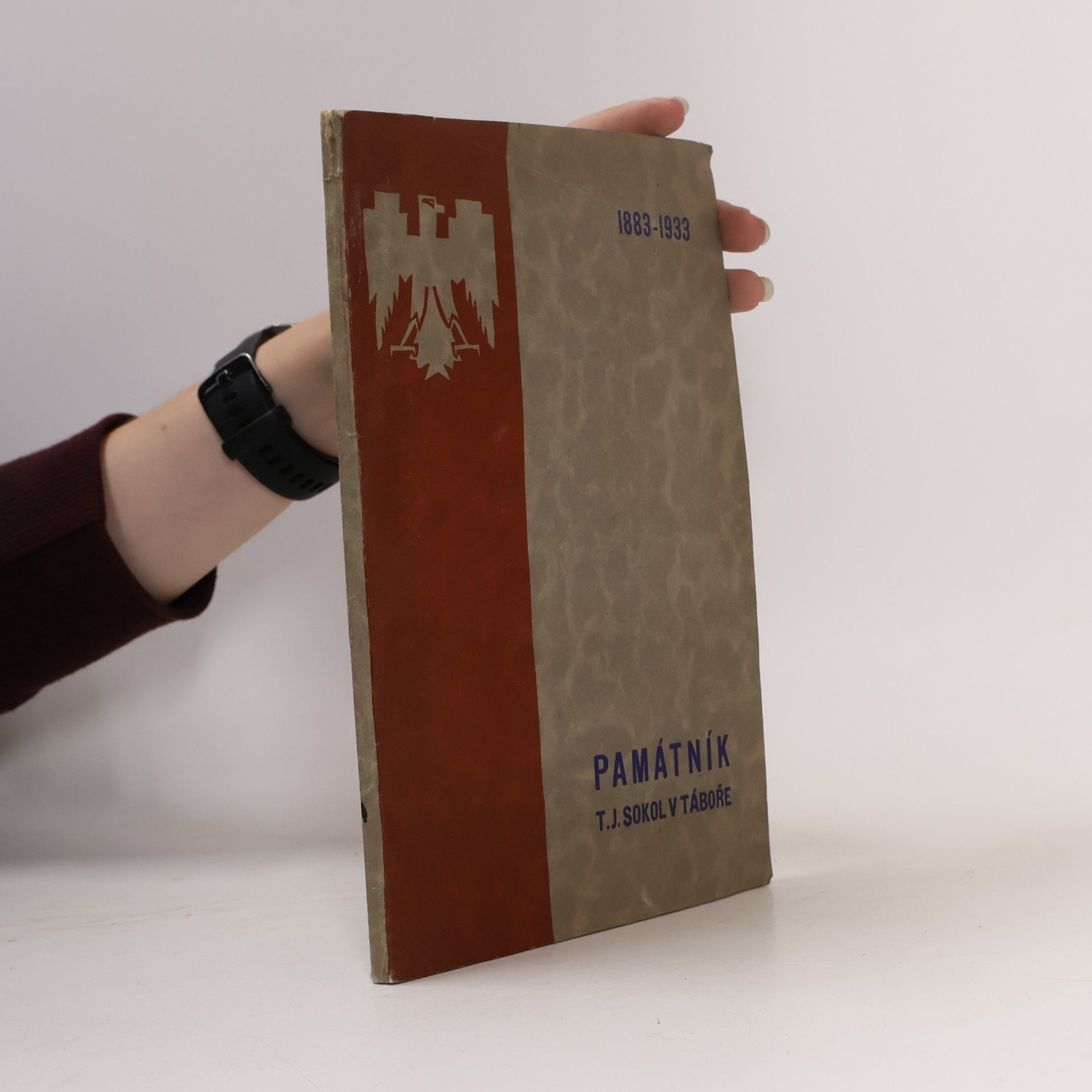 Various authors Památník tělocvičné jednoty „Sokol“ v Táboře