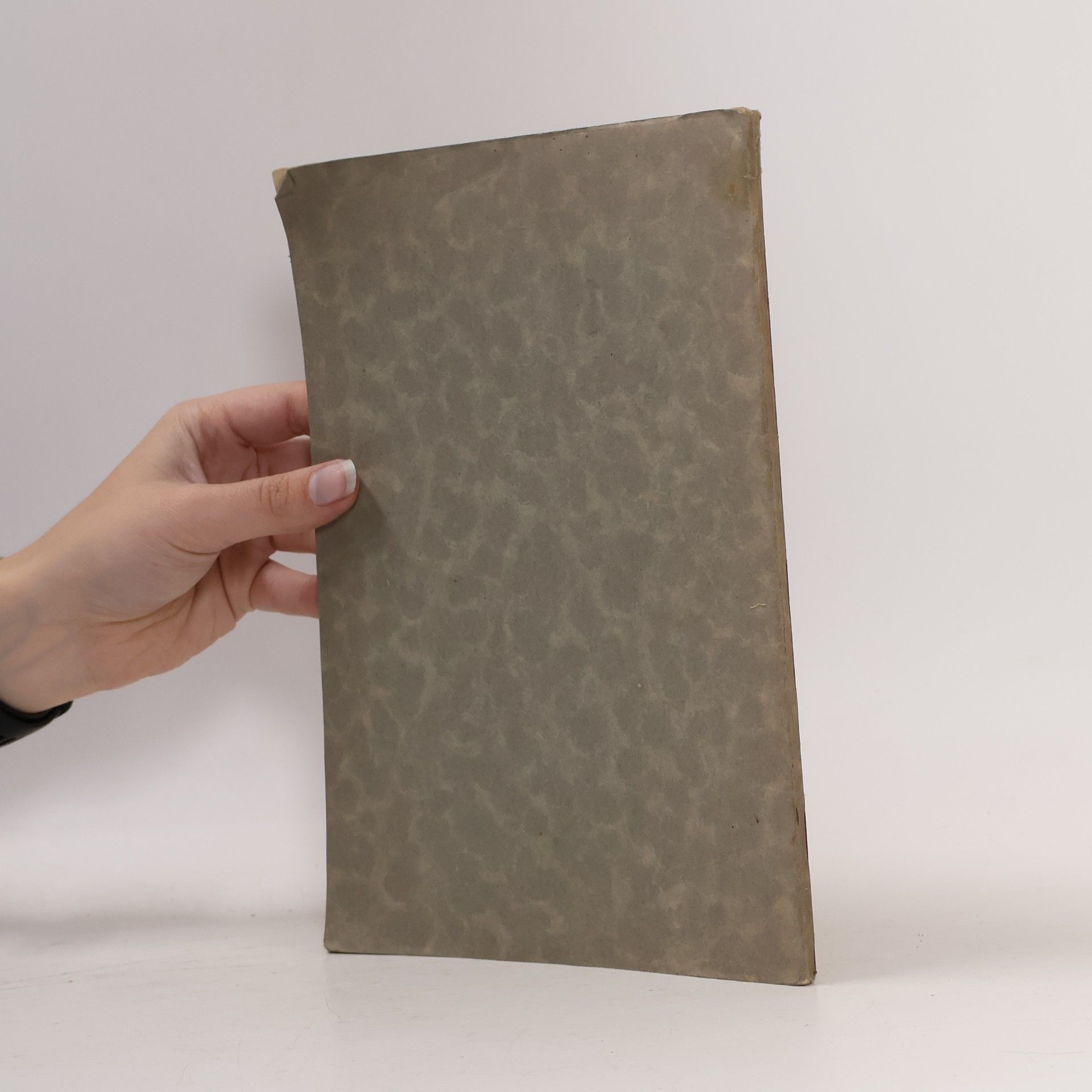 Various authors Památník tělocvičné jednoty „Sokol“ v Táboře