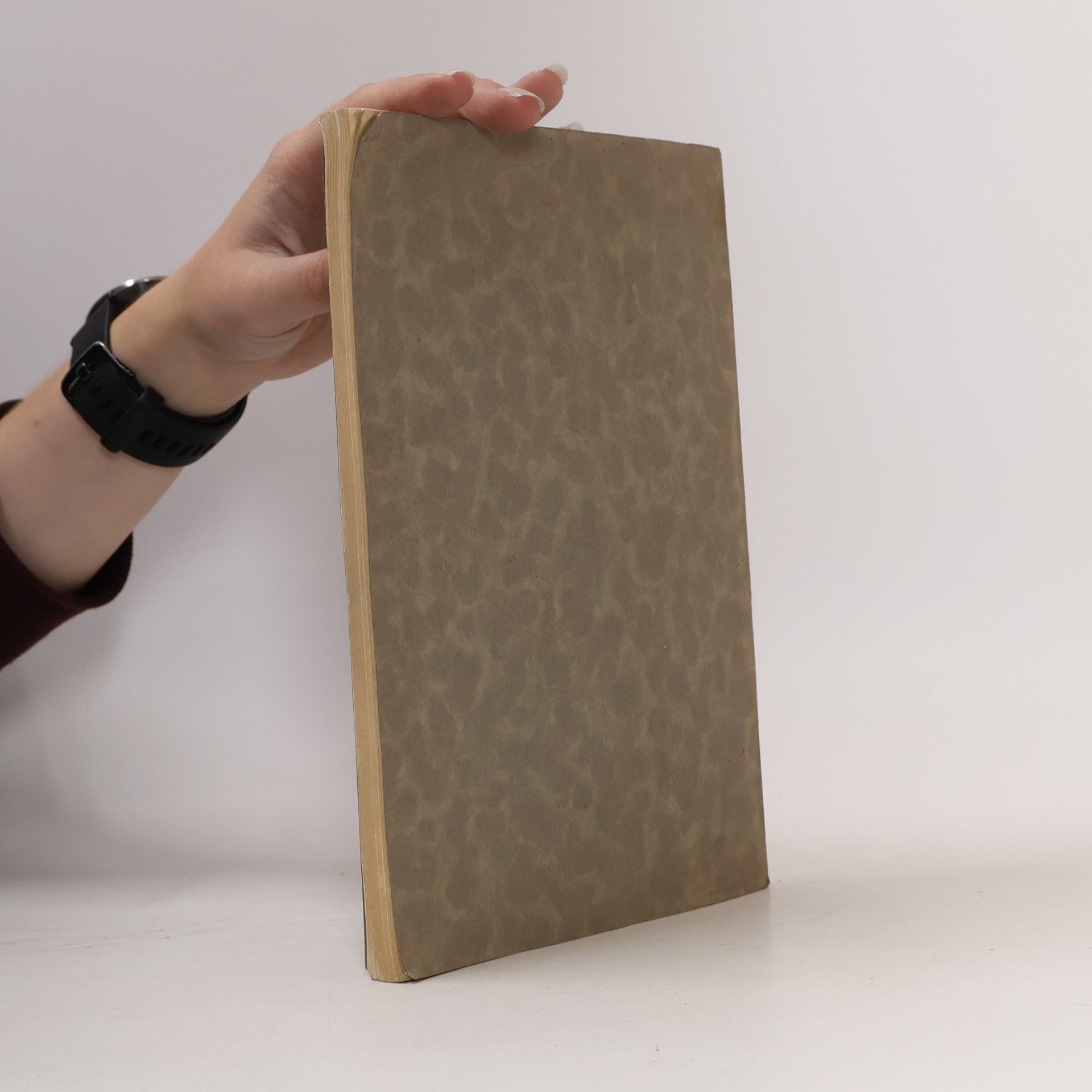 Various authors Památník tělocvičné jednoty „Sokol“ v Táboře