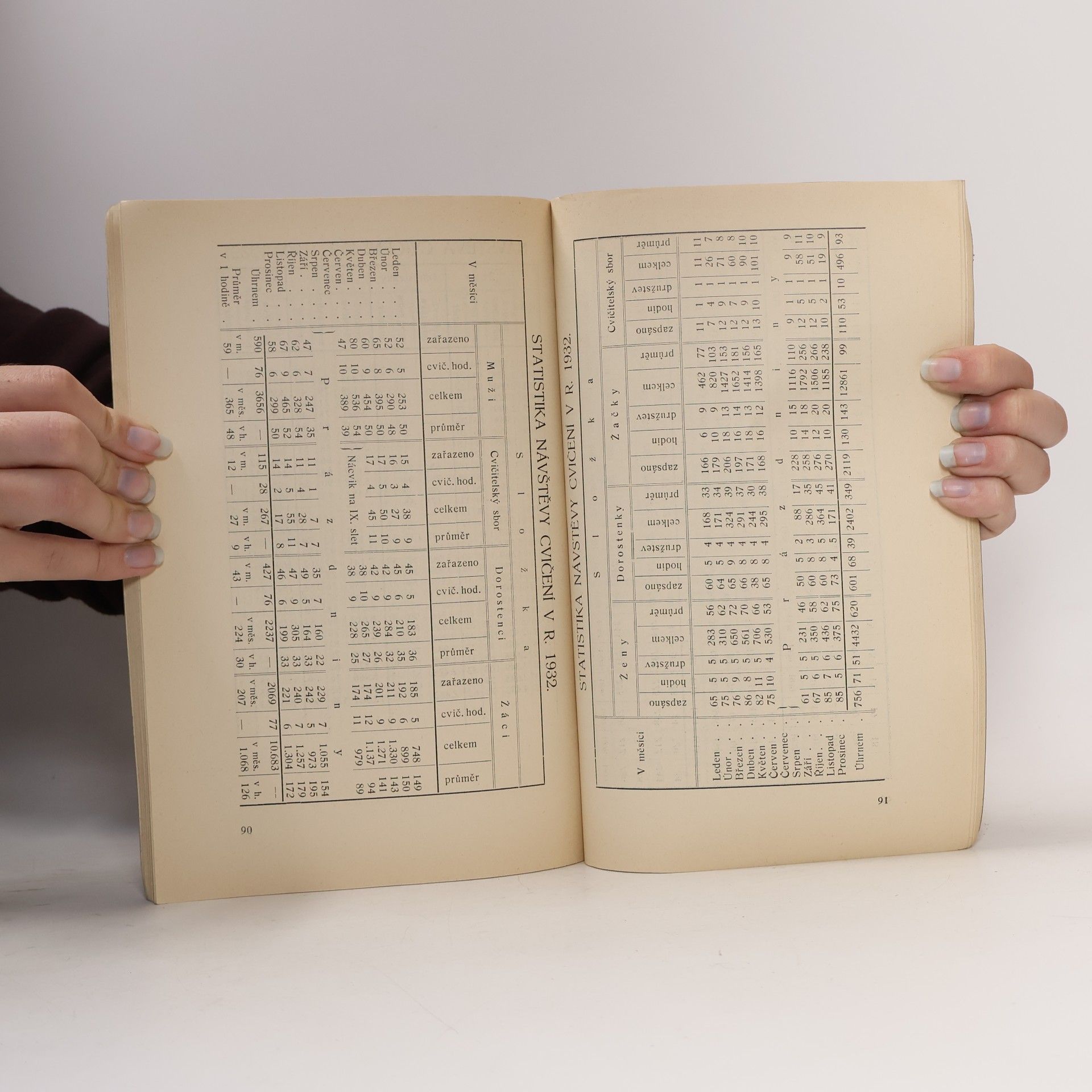 Various authors Památník tělocvičné jednoty „Sokol“ v Táboře