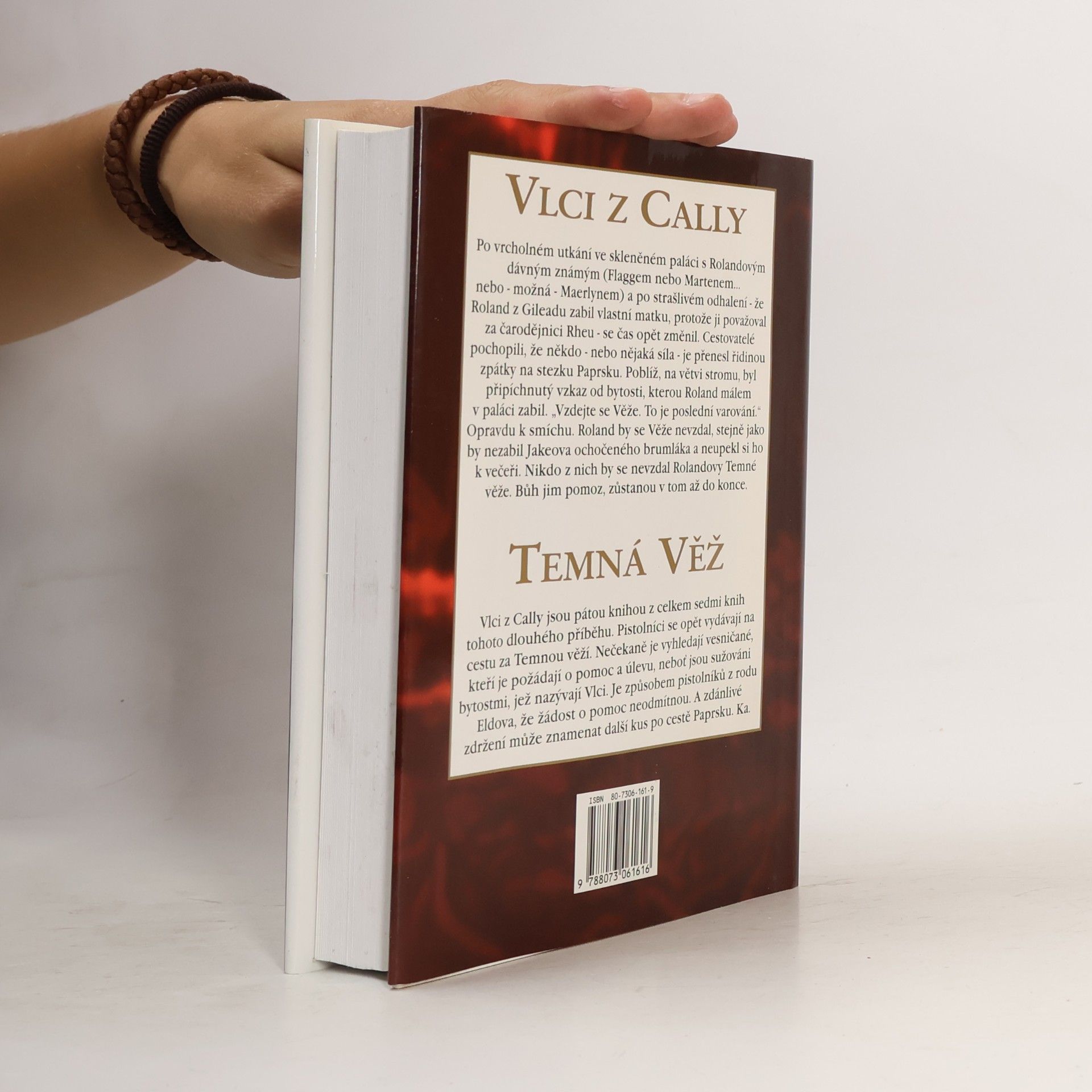 Stephen King Temná věž: Vlci z Cally