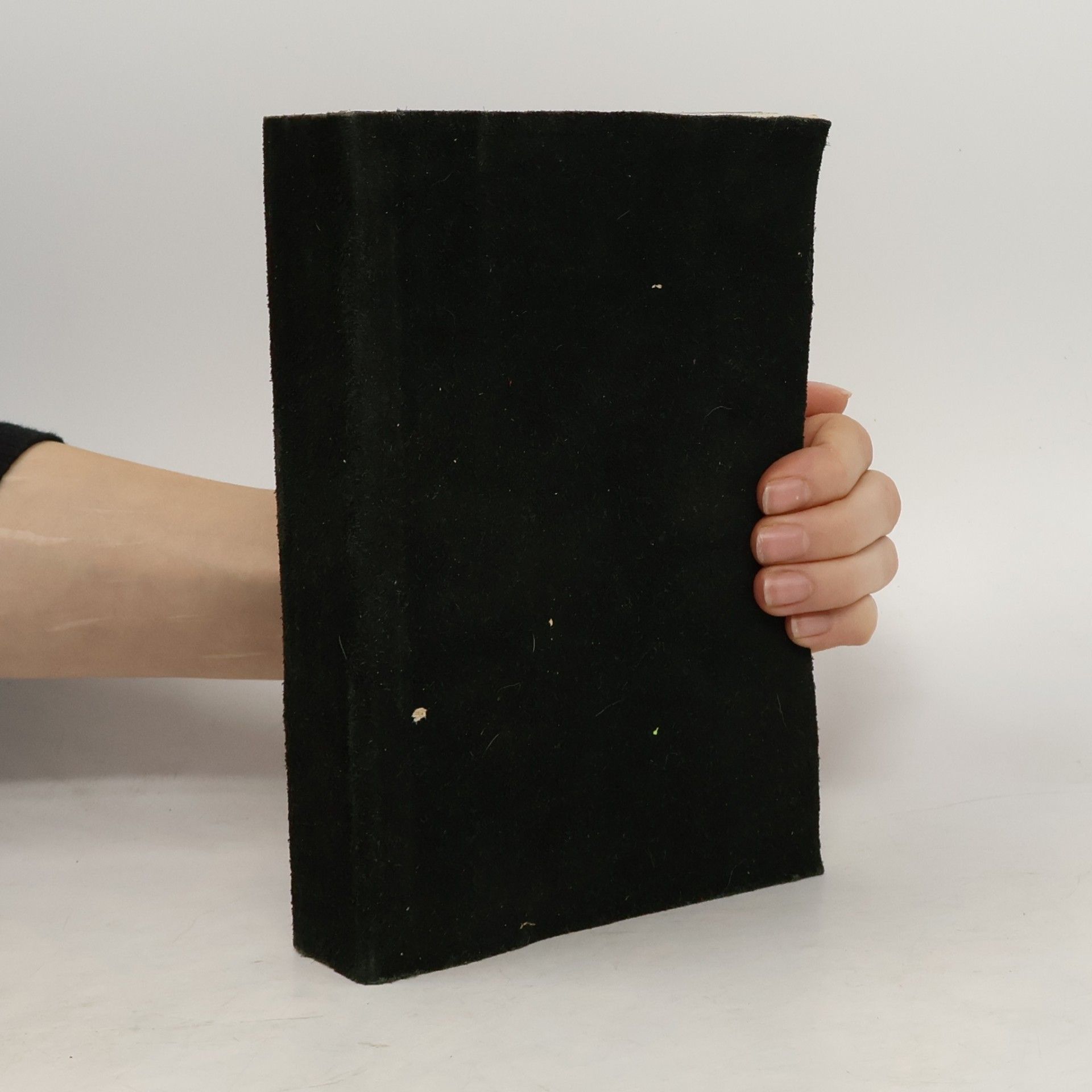 Bernhard Kaiser Das goldene Kochbuch