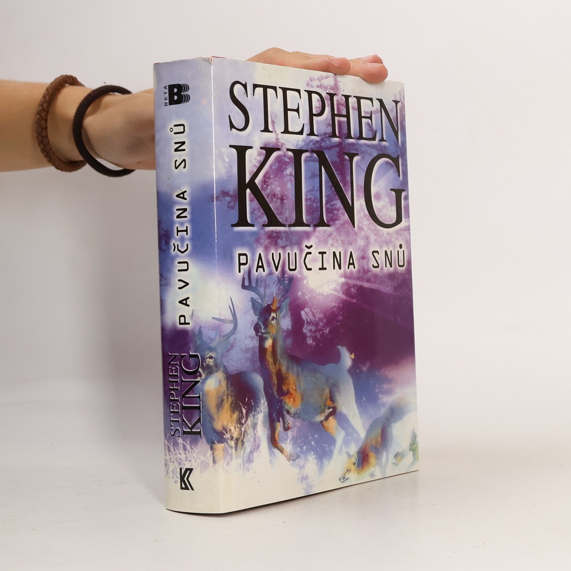 Stephen King Pavučina snů