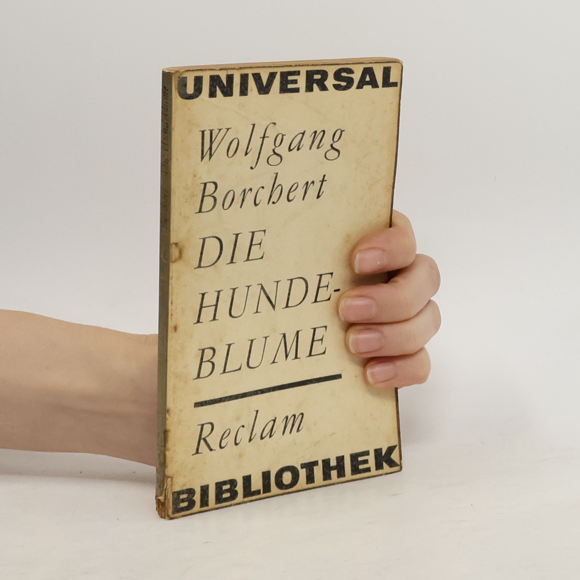 Wolfgang Borchert Die Hundeblume