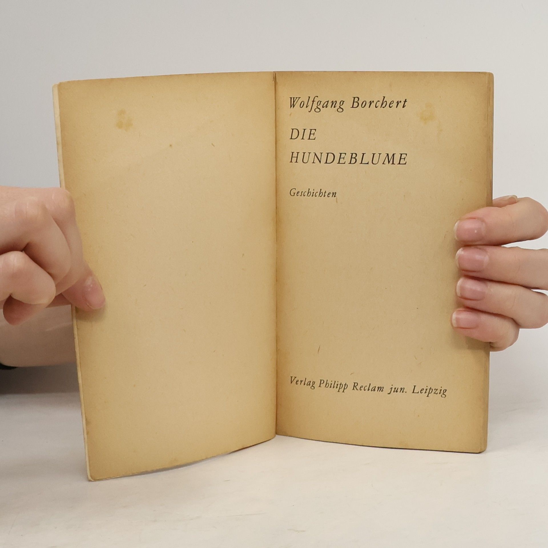 Wolfgang Borchert Die Hundeblume