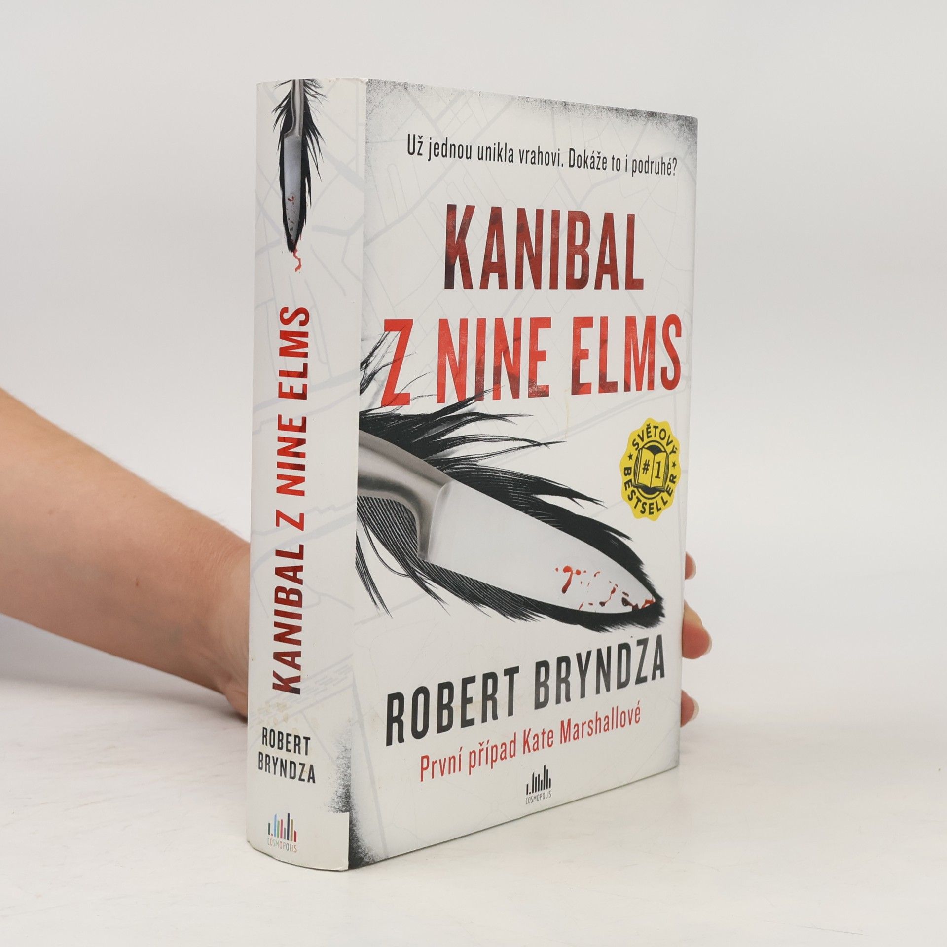 Robert Bryndza Kanibal z Nine Elms