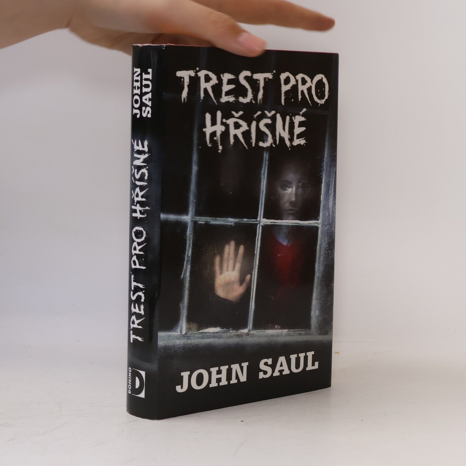John Saul Trest pro hříšné