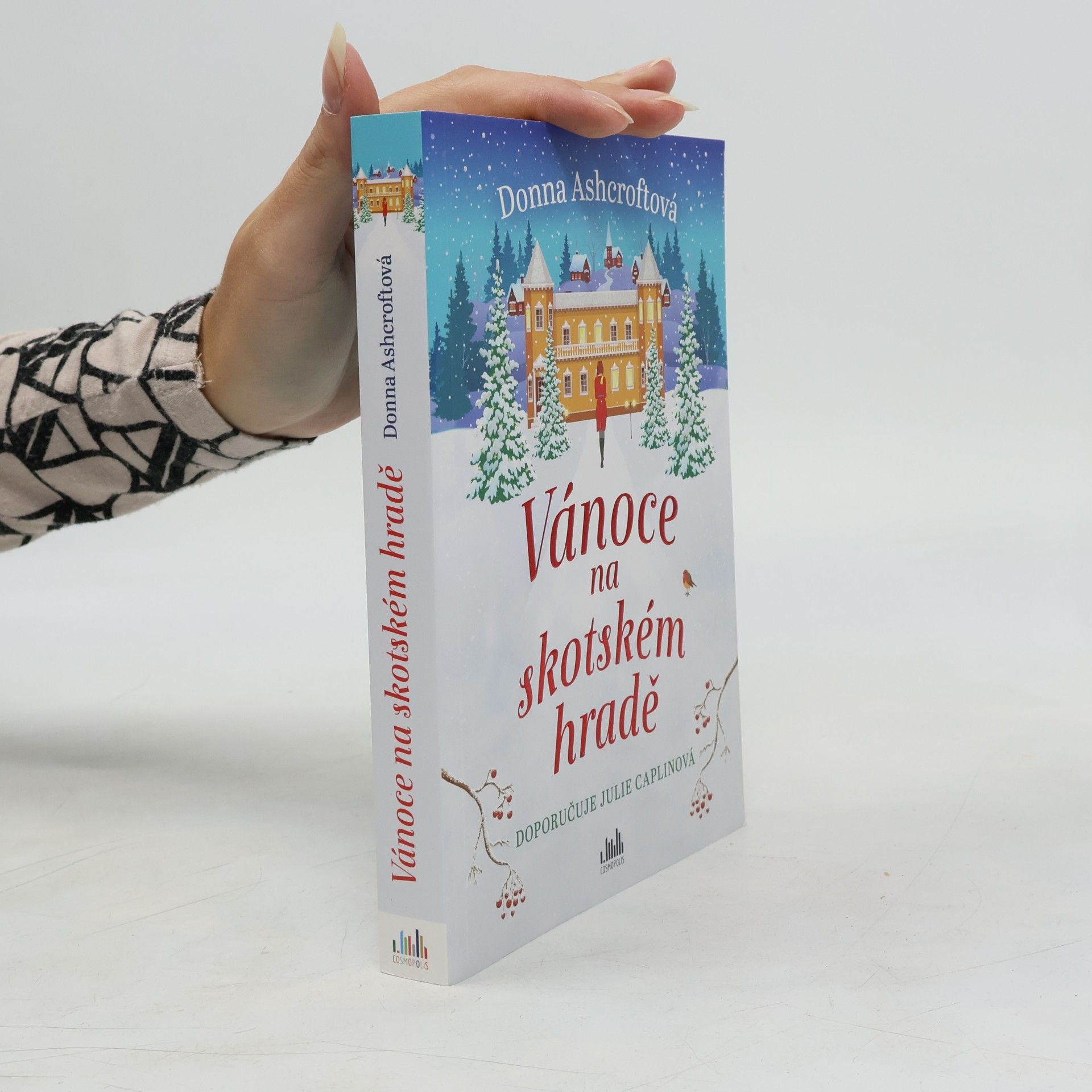 Donna Ashcroft Vánoce na skotském hradě
